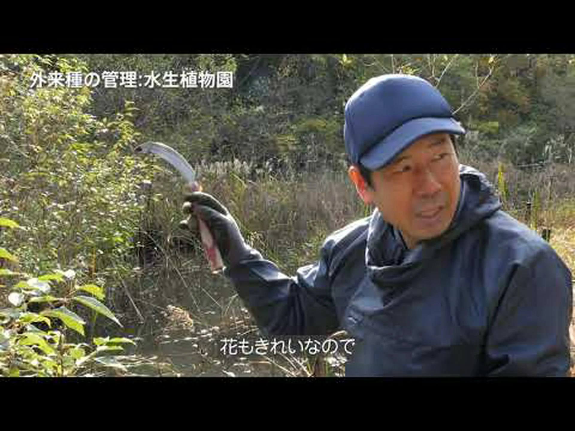 カミフォリア園の自然管理 カミフォリア園の自然管理