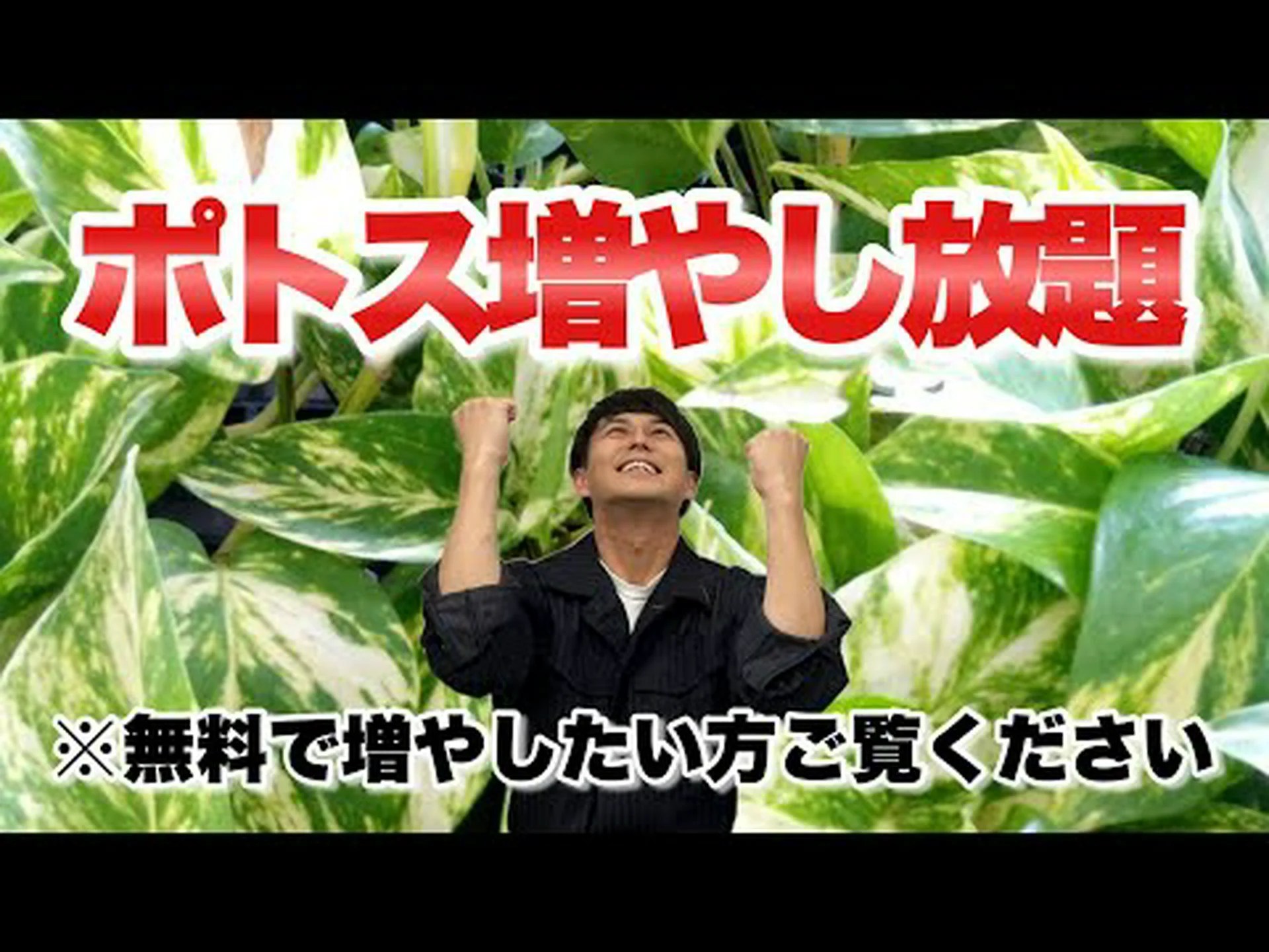 植物を増やす 植物を増やす