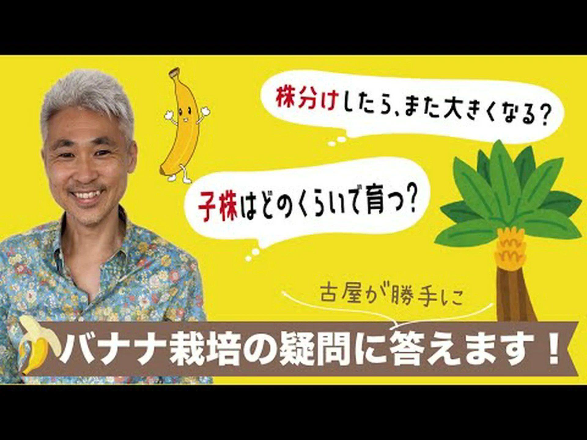 バナナの木に関するよくある質問 バナナの木に関するよくある質問