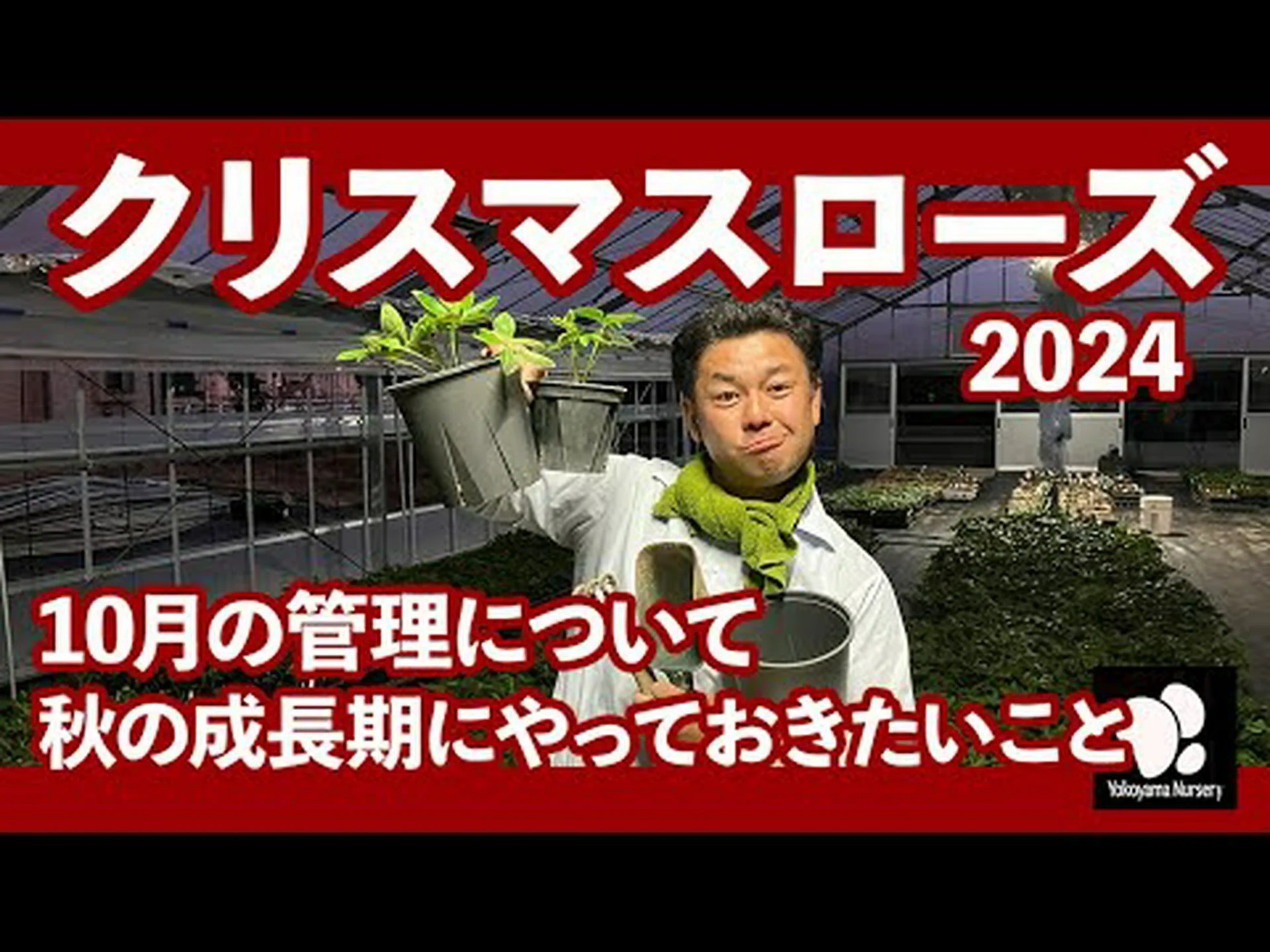 ヘレボルス ヘレボルス