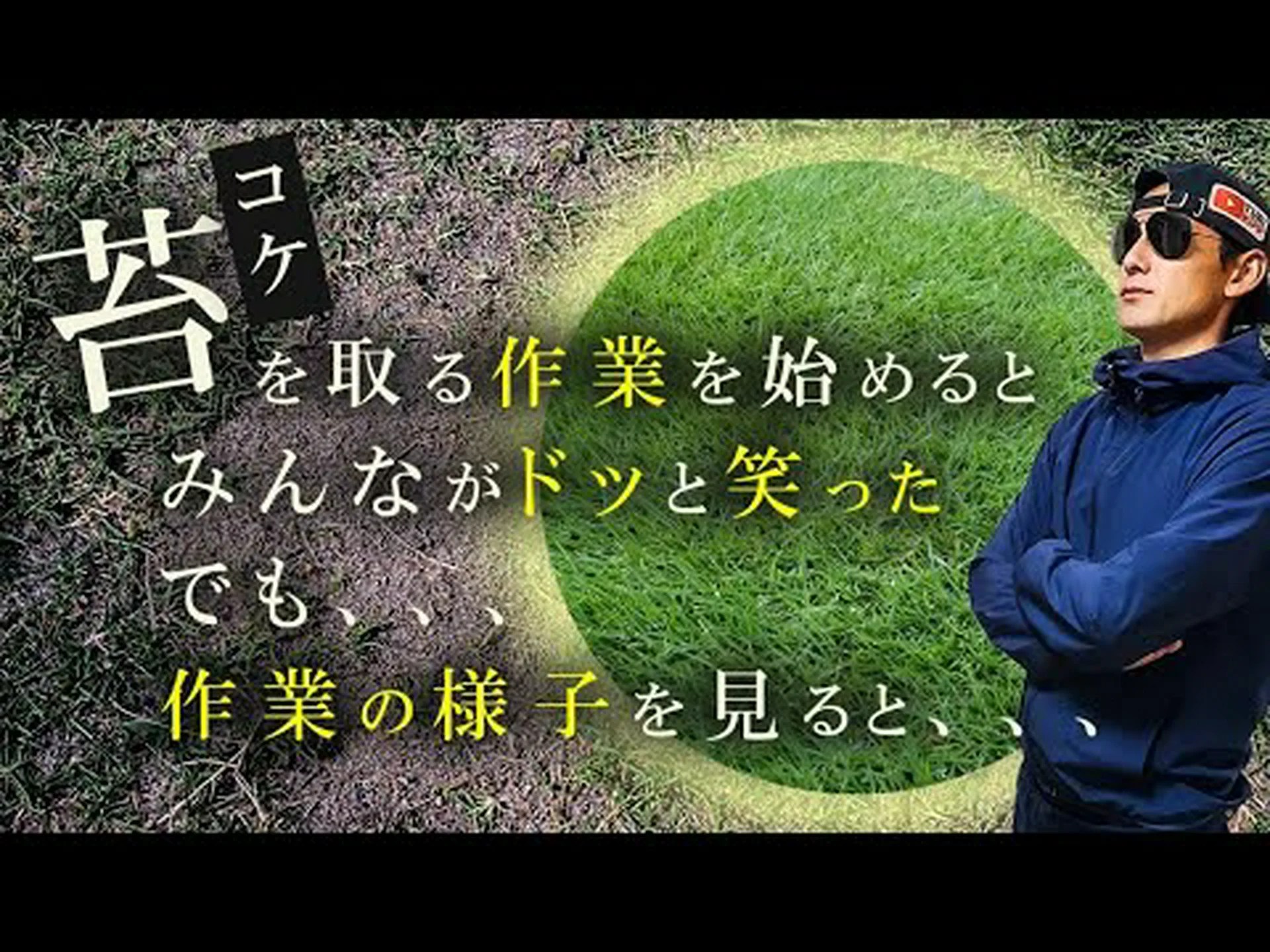 芝生のコケとの戦い 芝生のコケとの戦い