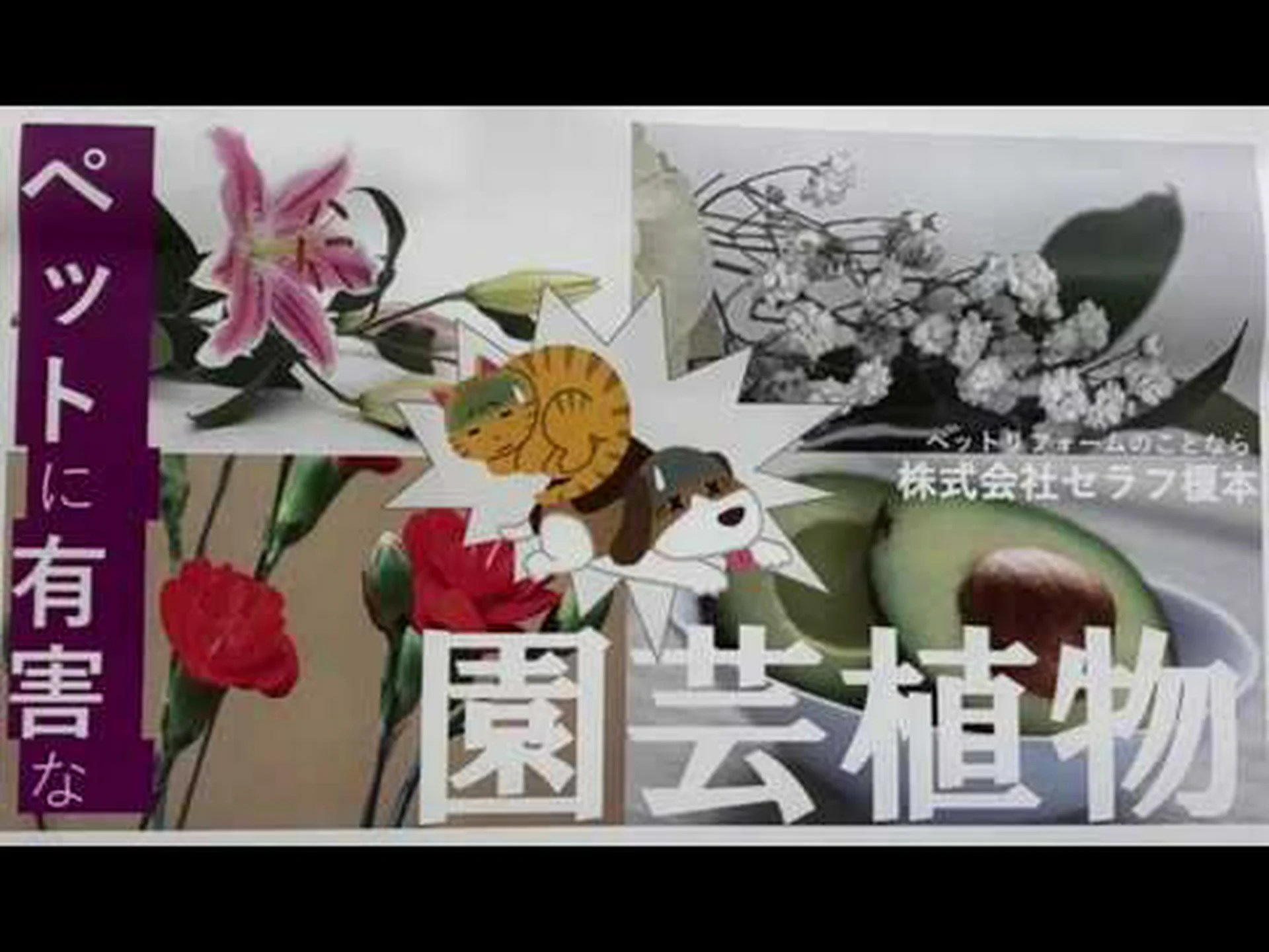 有害動物 有害動物