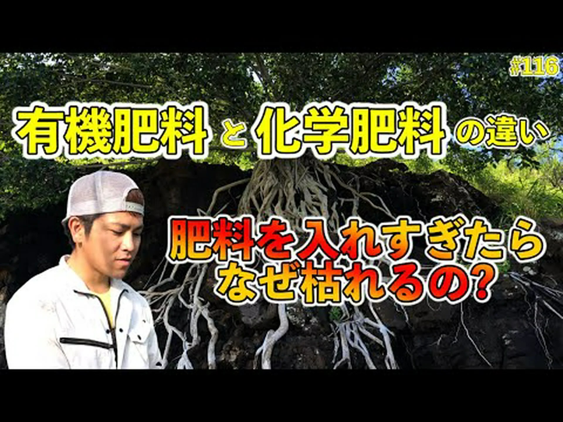肥料、なぜですか? 肥料、なぜですか?