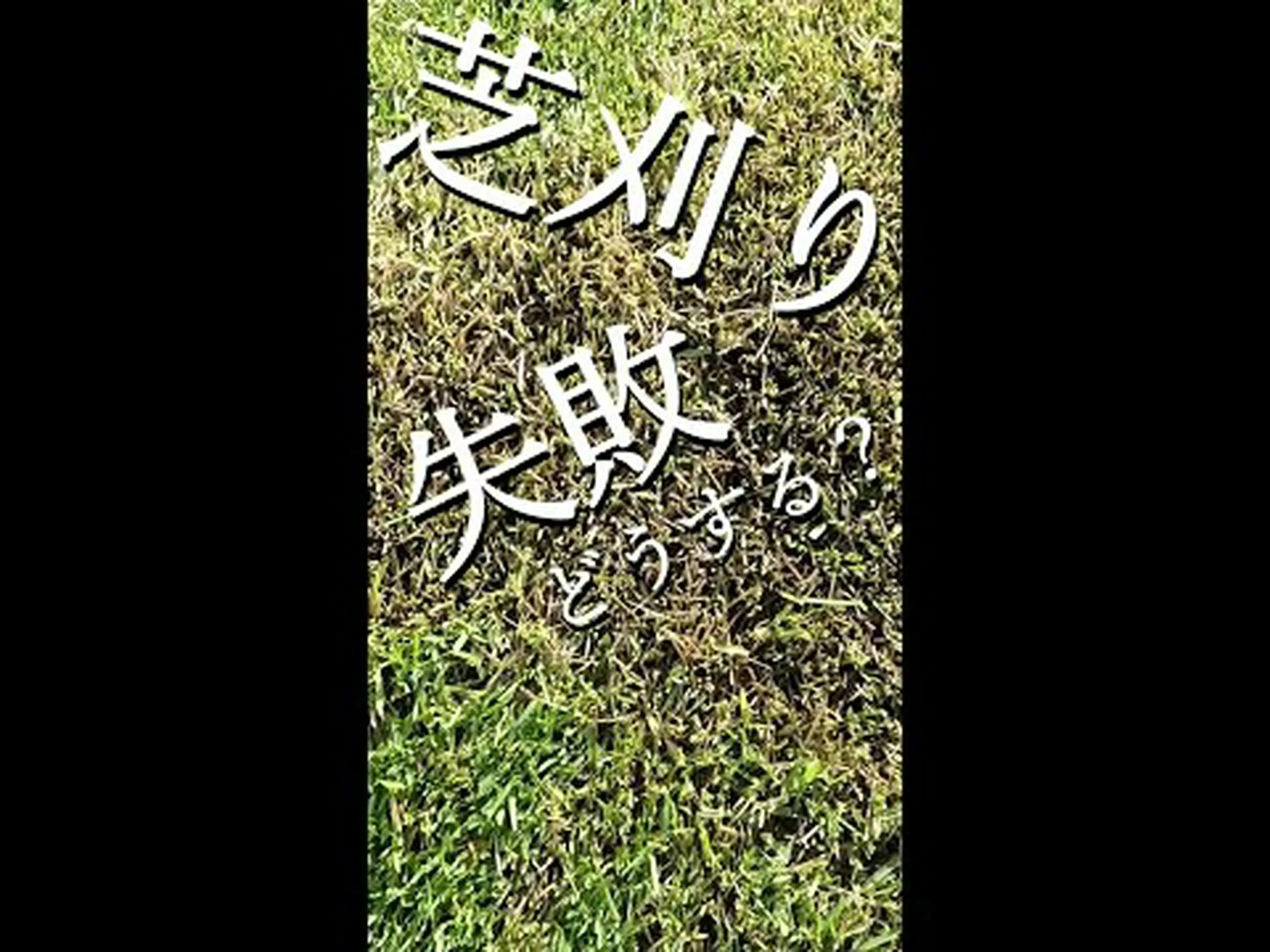 よりエコな芝生を目指して よりエコな芝生を目指して
