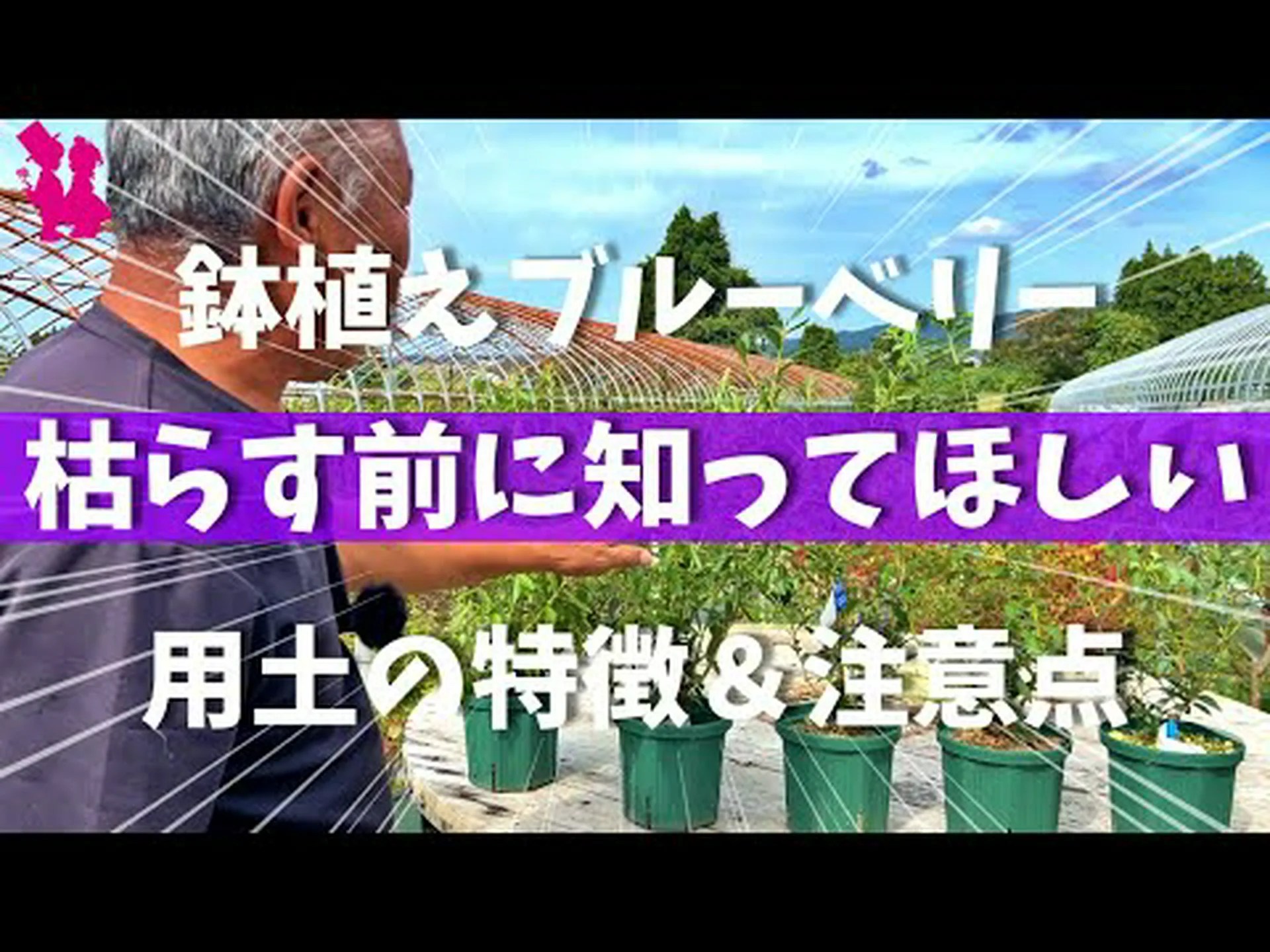 樹液ポンプのサイズ縮小 樹液ポンプのサイズ縮小