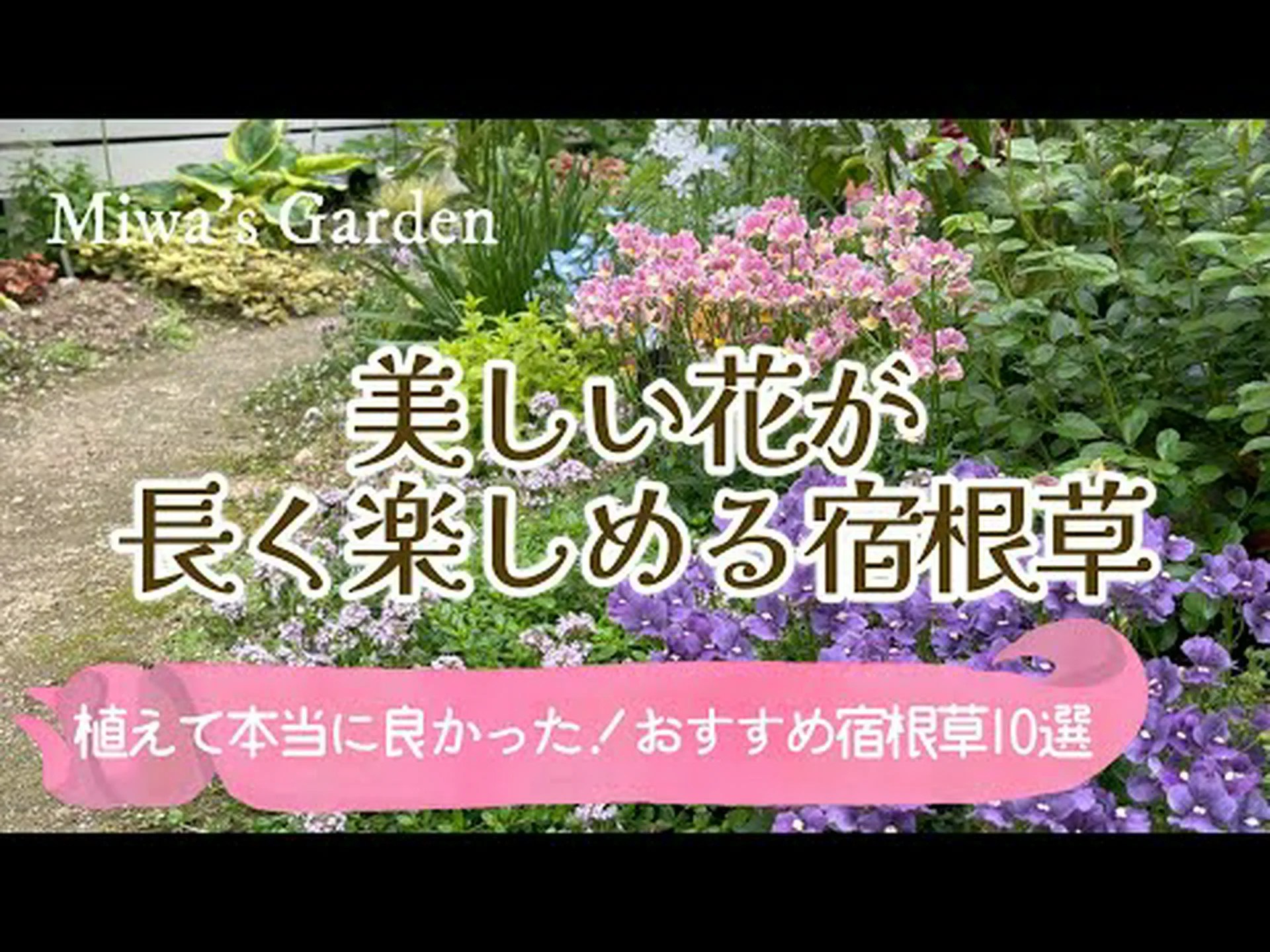ミザリー、リオの儚さ ミザリー、リオの儚さ