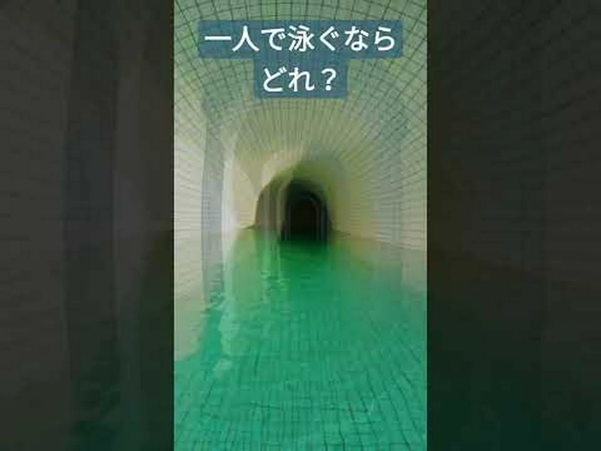 さまざまな種類のプール さまざまな種類のプール