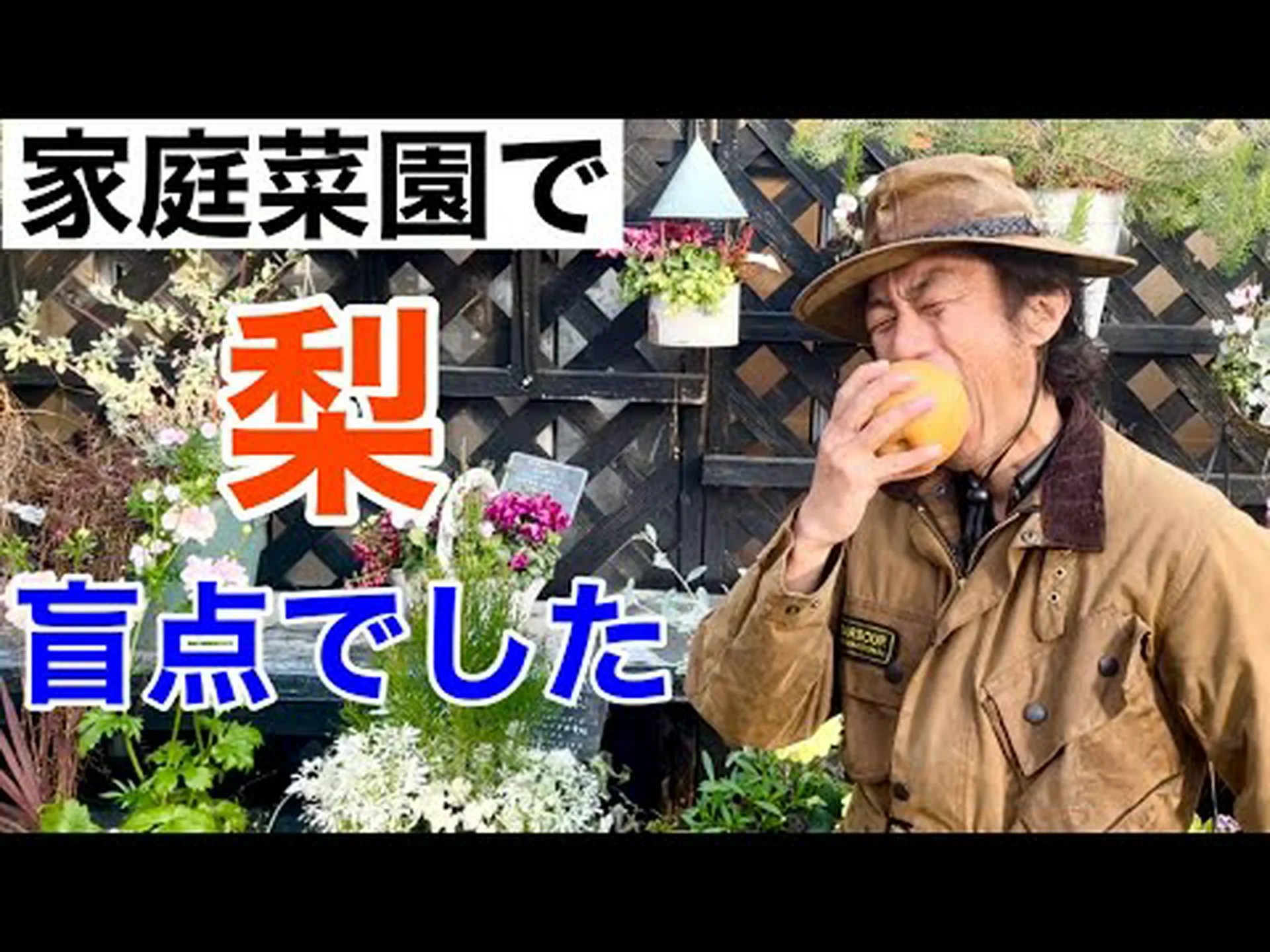 梨の木を育てるヒント 梨の木を育てるヒント