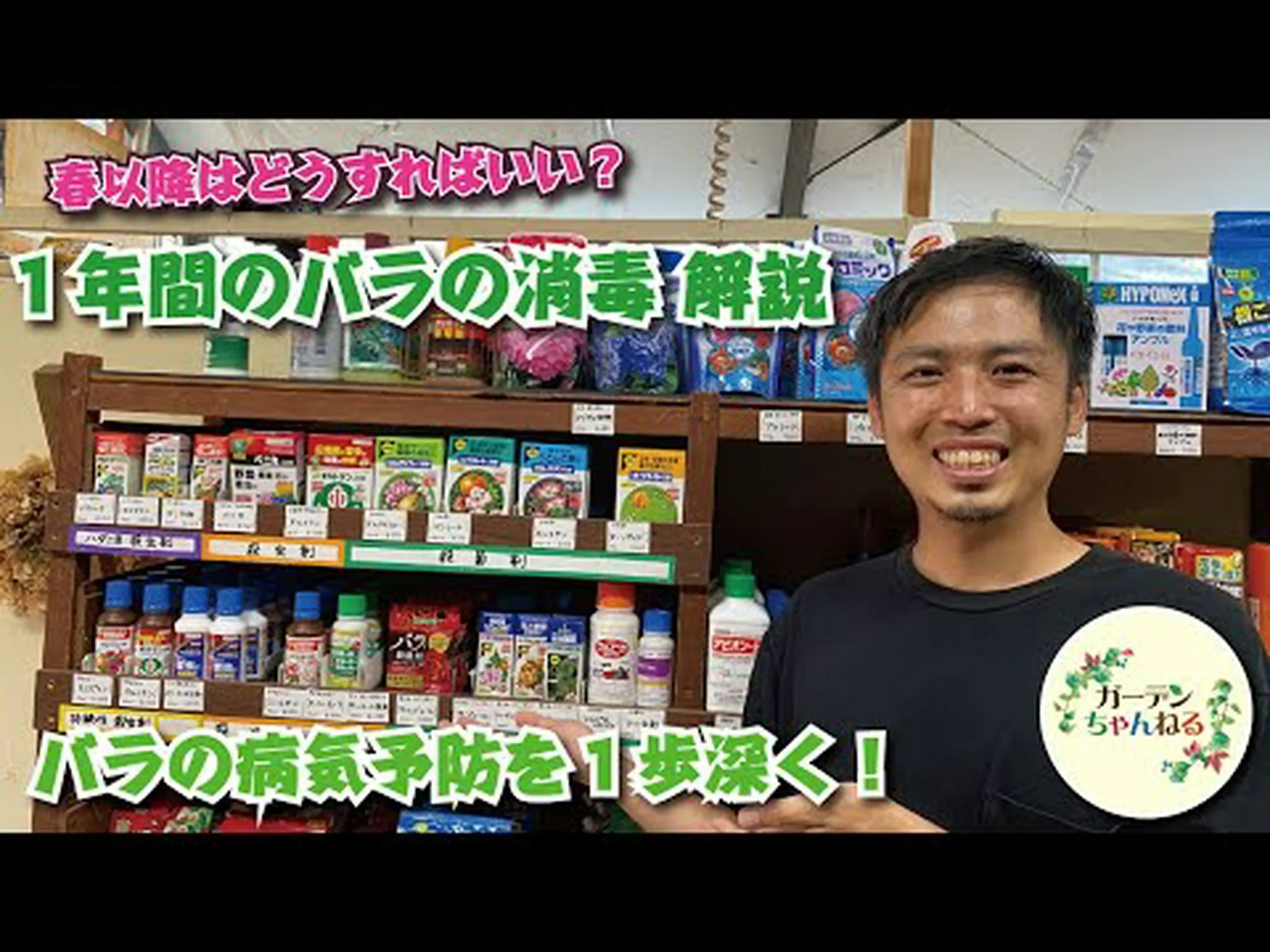 バラの茂みの病気 バラの茂みの病気