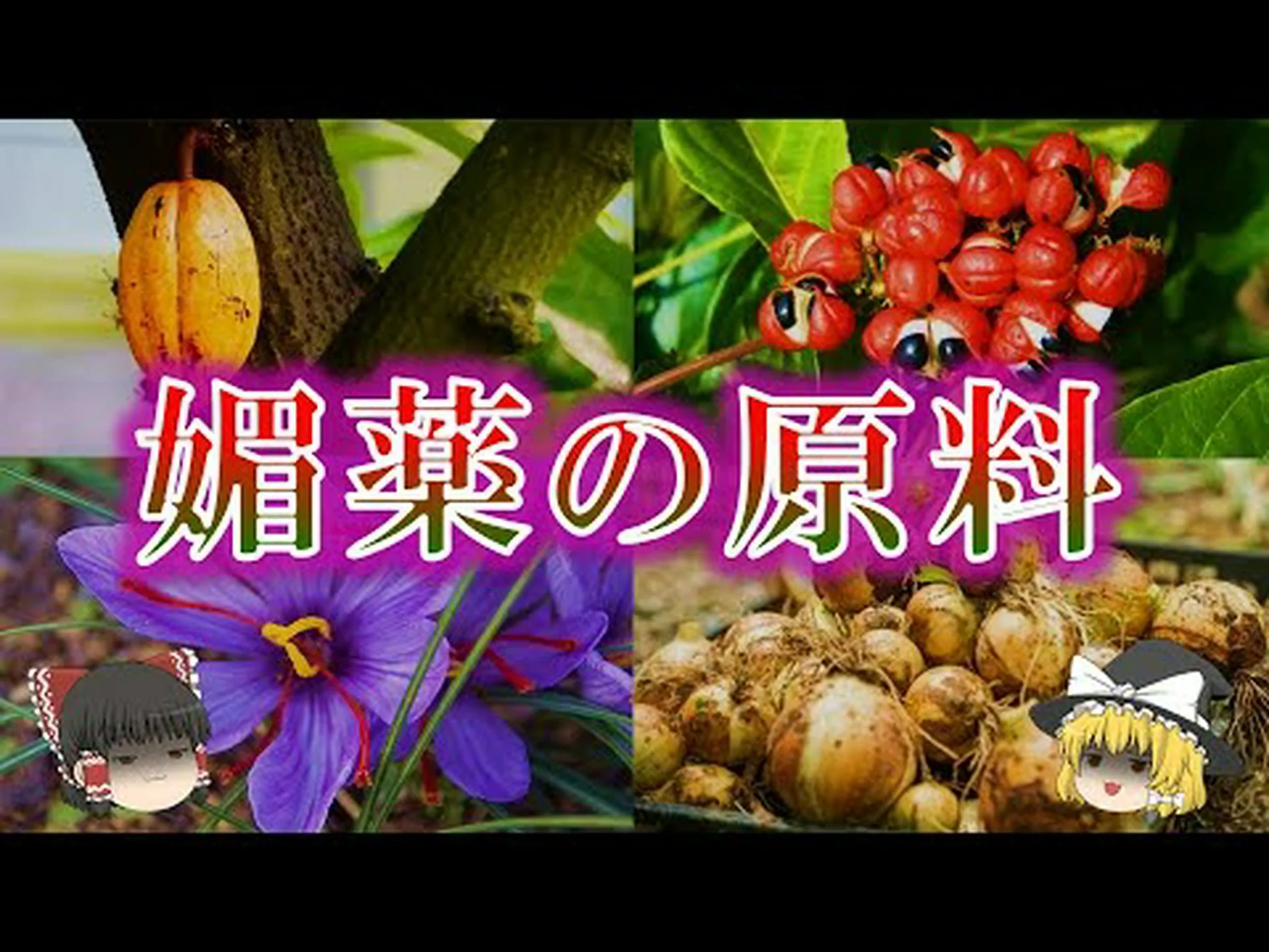 媚薬植物 媚薬植物