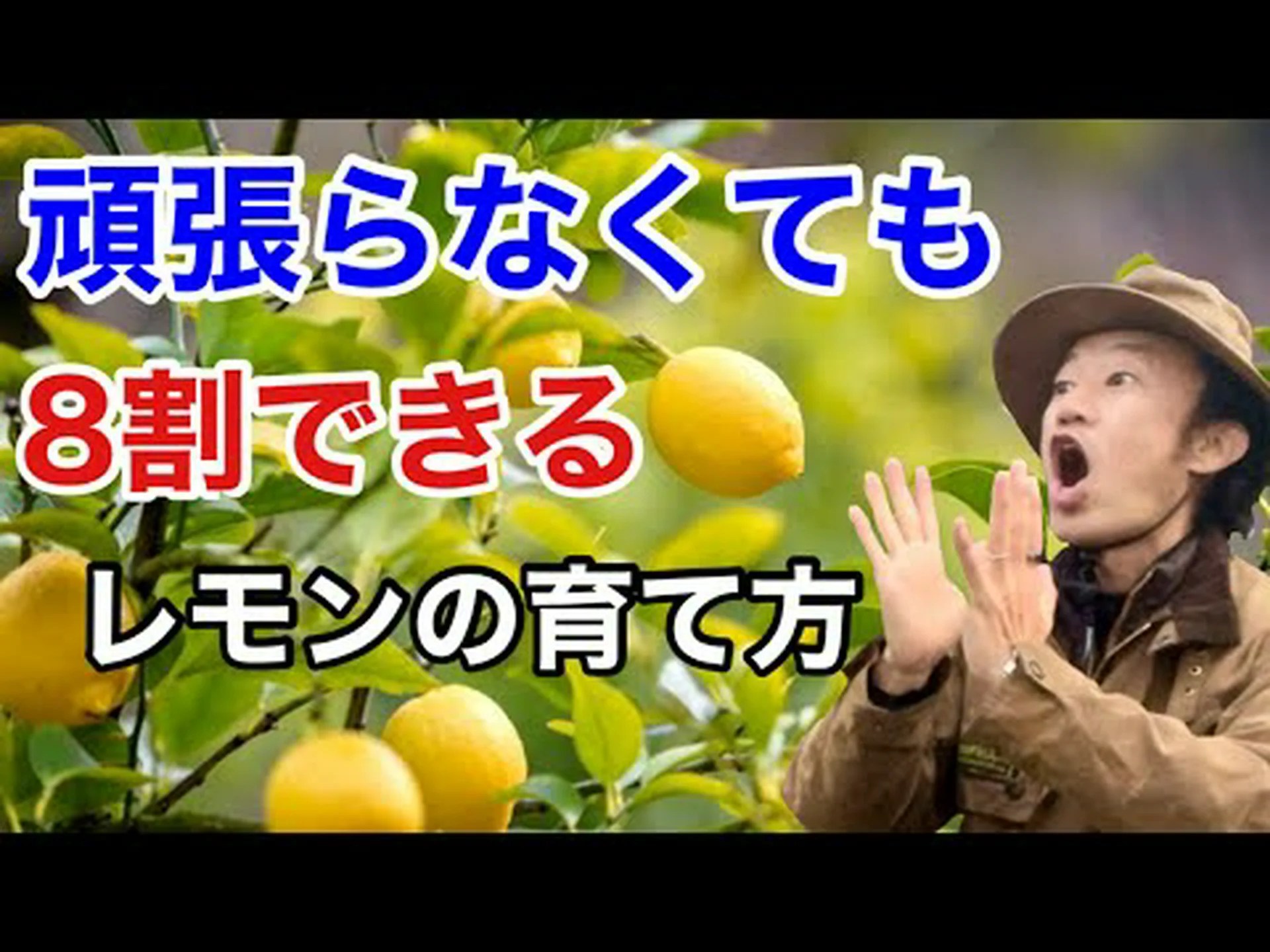 レモンの利点 レモンの利点