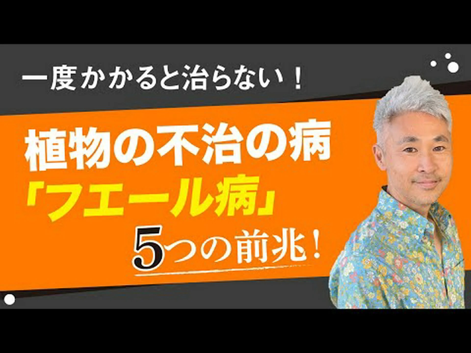 メアリーの心臓、出血する心臓、ジャネットの心臓 メアリーの心臓、出血する心臓、ジャネットの心臓