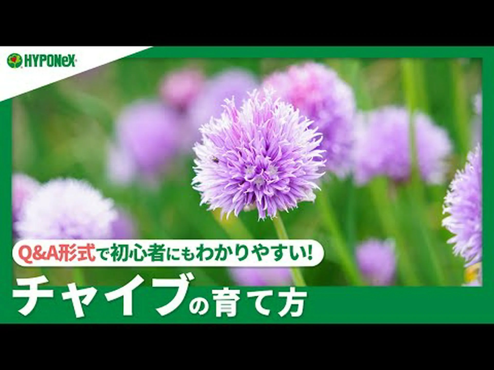 家庭菜園に関するよくある質問 家庭菜園に関するよくある質問