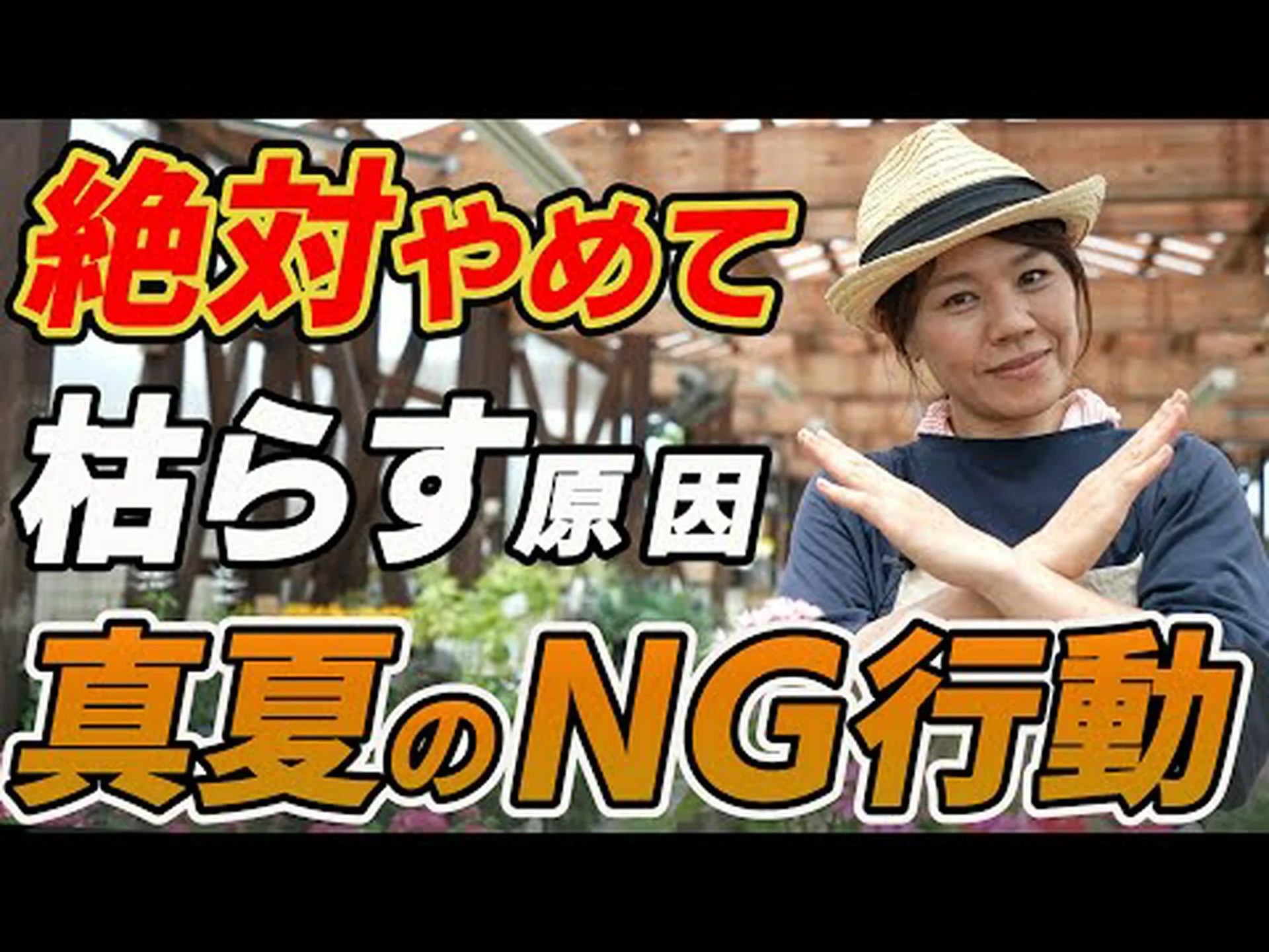 地面に隠された幸せの濃縮物 地面に隠された幸せの濃縮物