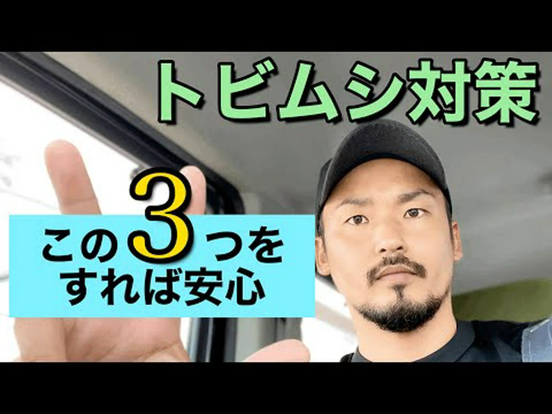 トビムシ トビムシ