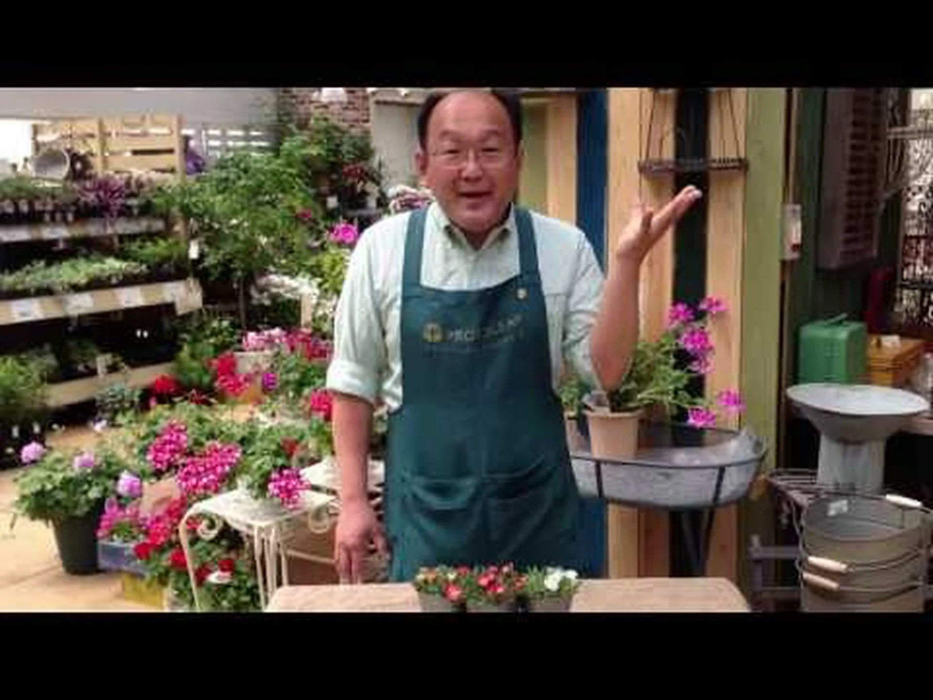 毛むくじゃらのデロスペルマ 毛むくじゃらのデロスペルマ