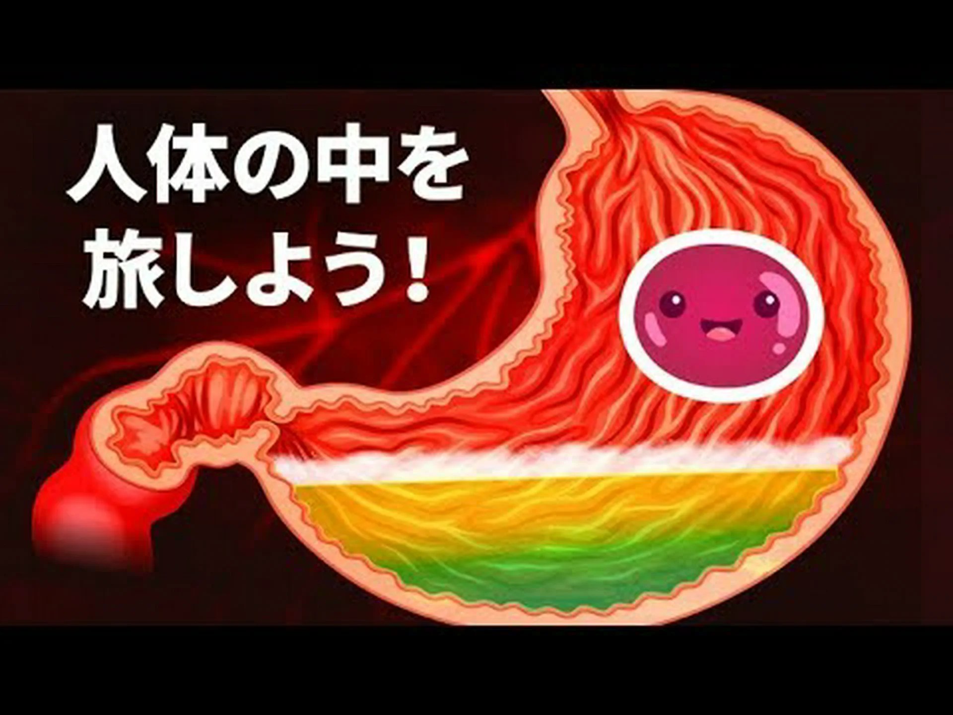 動物内動物、消化管を通る旅 動物内動物、消化管を通る旅