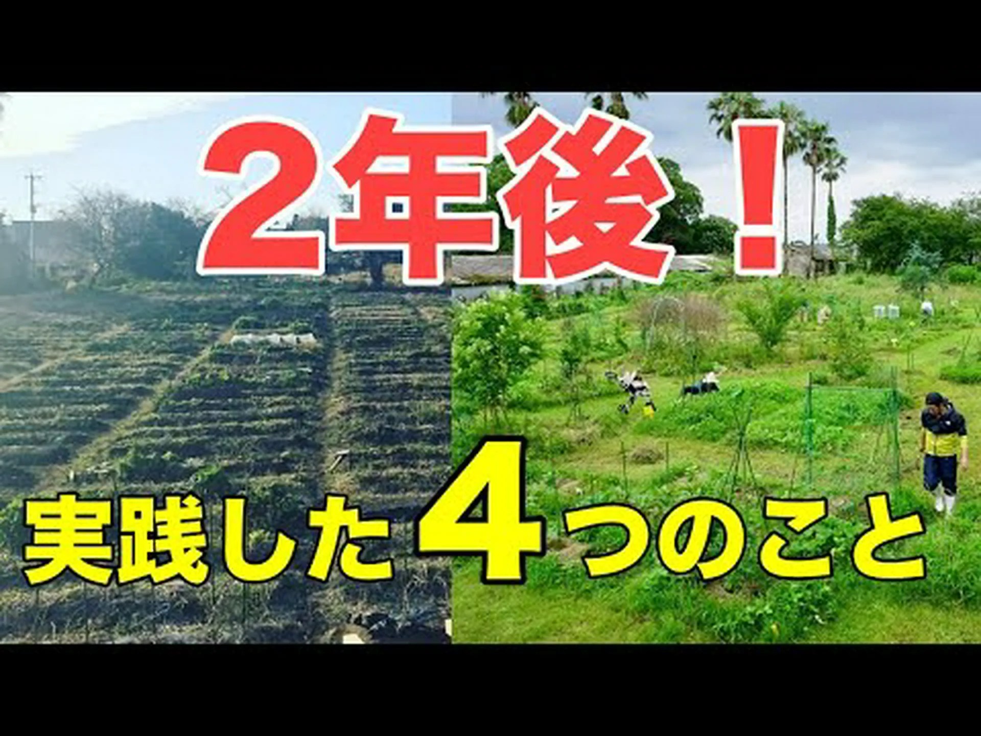 パーマカルチャーに関するよくある質問 パーマカルチャーに関するよくある質問