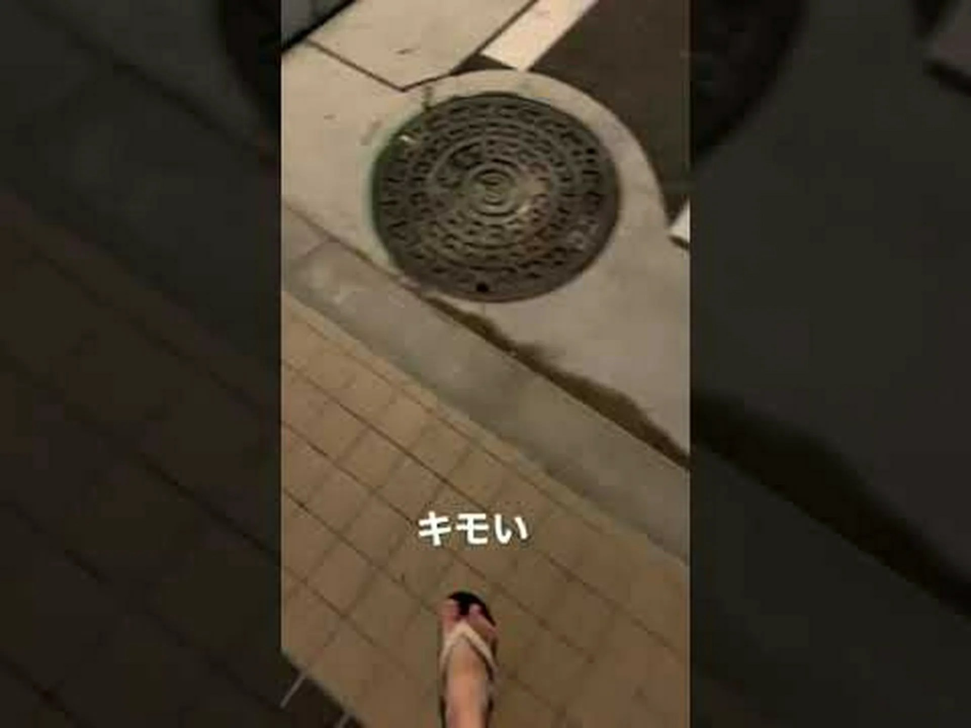 オウゴンイソギンチャク、オオダンソウ、ゴキブリ オウゴンイソギンチャク、オオダンソウ、ゴキブリ