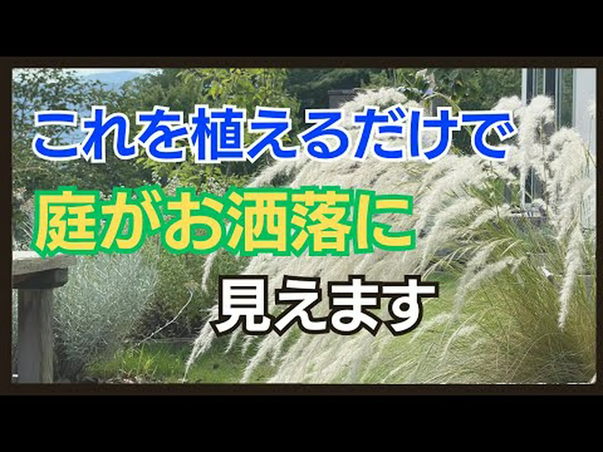 スパイクグラス、ゼブアピック、すべてを癒す スパイクグラス、ゼブアピック、すべてを癒す