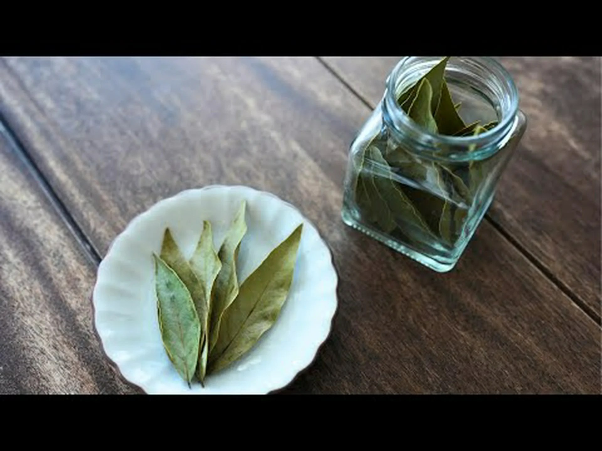 月桂樹の葉をソースで乾燥させます 月桂樹の葉をソースで乾燥させます