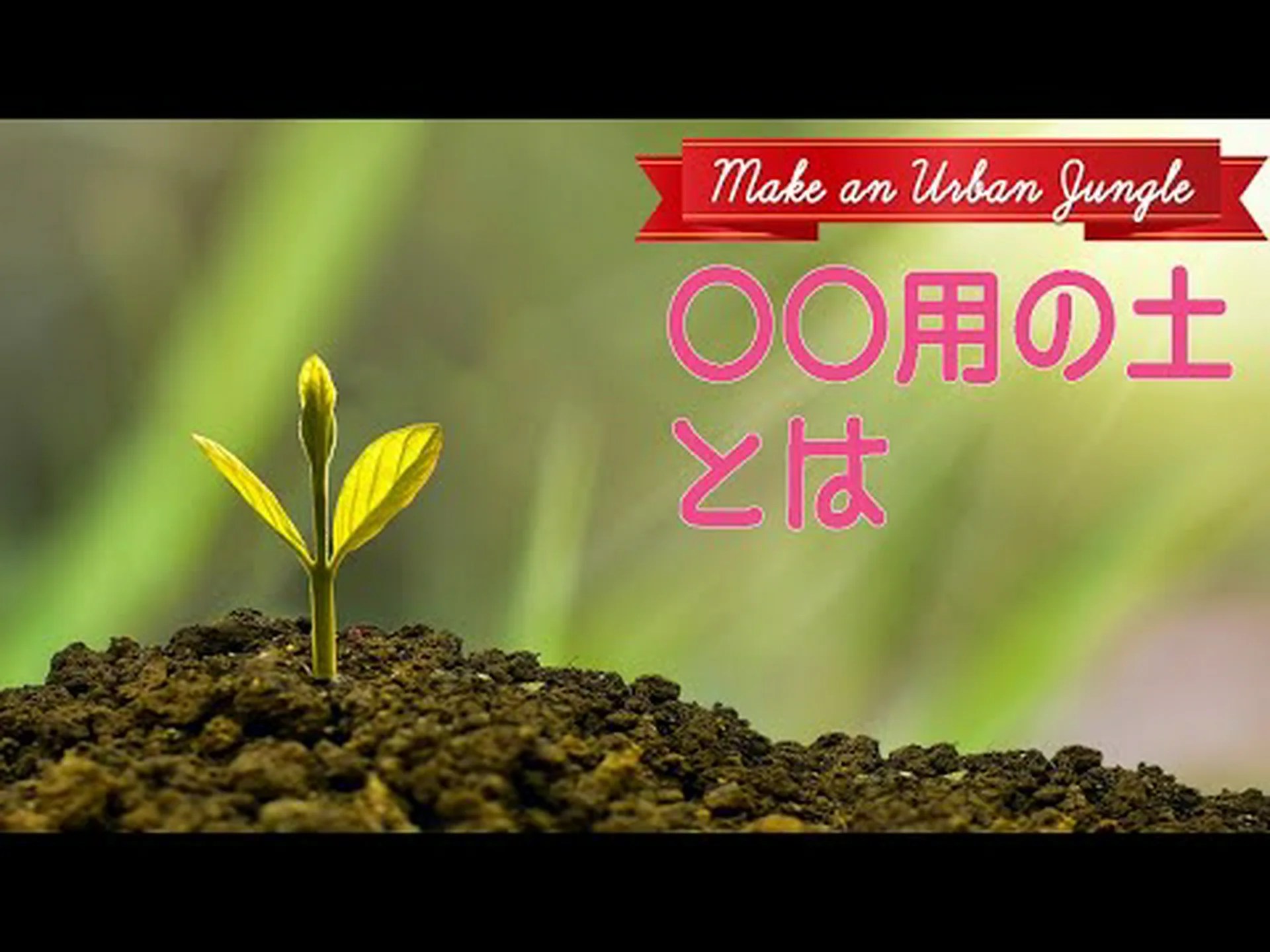 ココナッツ ココナッツ