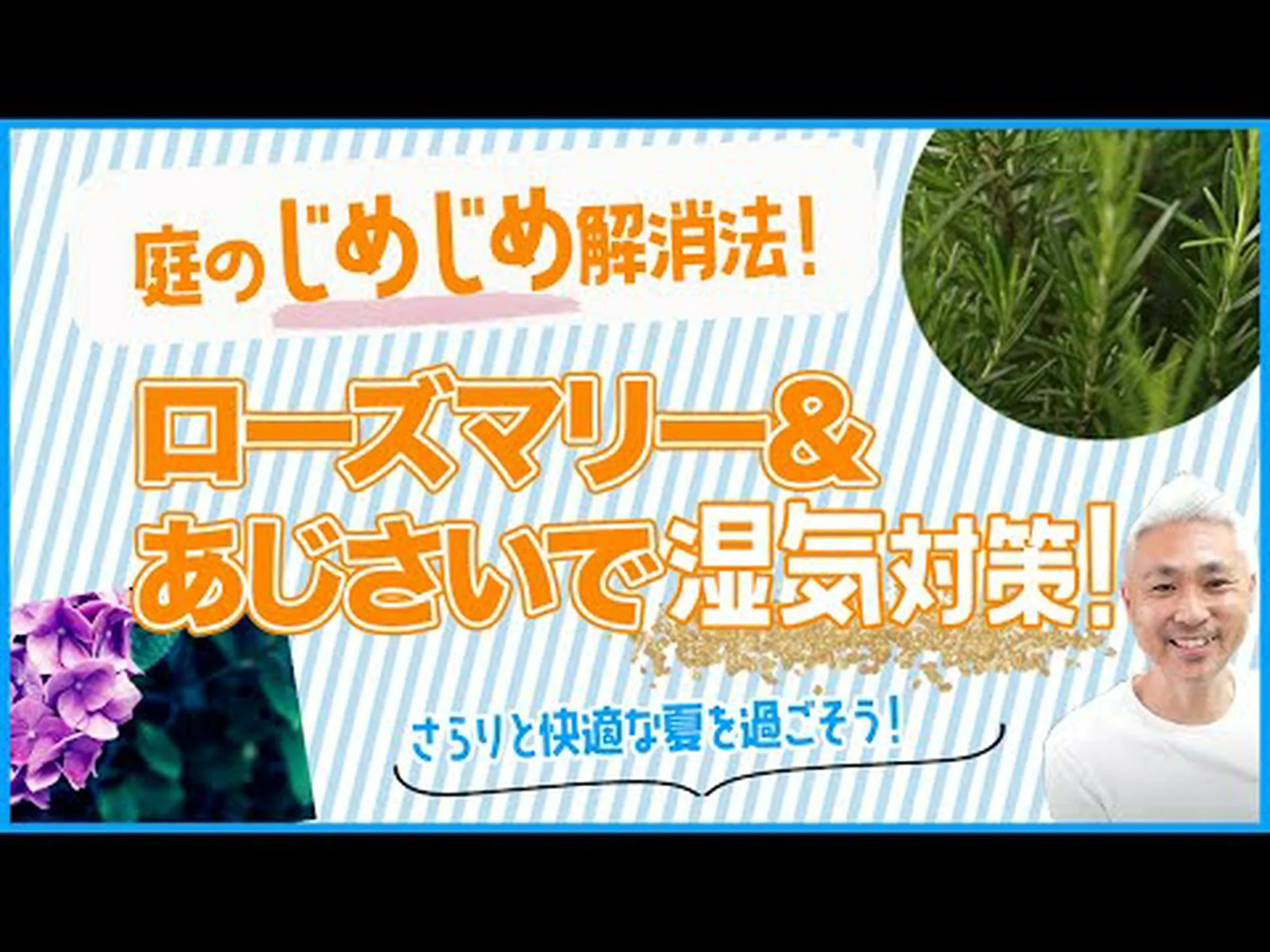 湿気の多い場所に植える 湿気の多い場所に植える