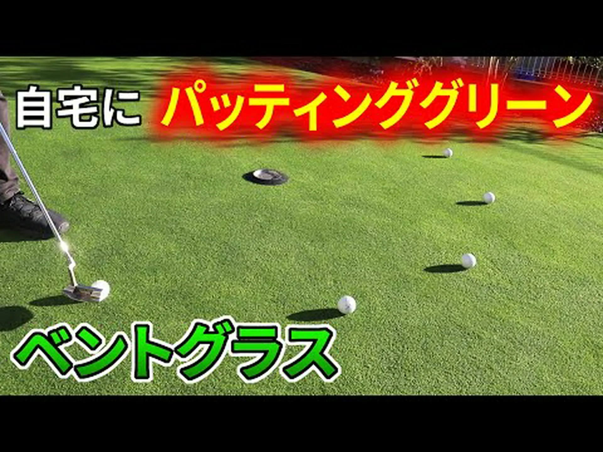 ベントグラス ベントグラス