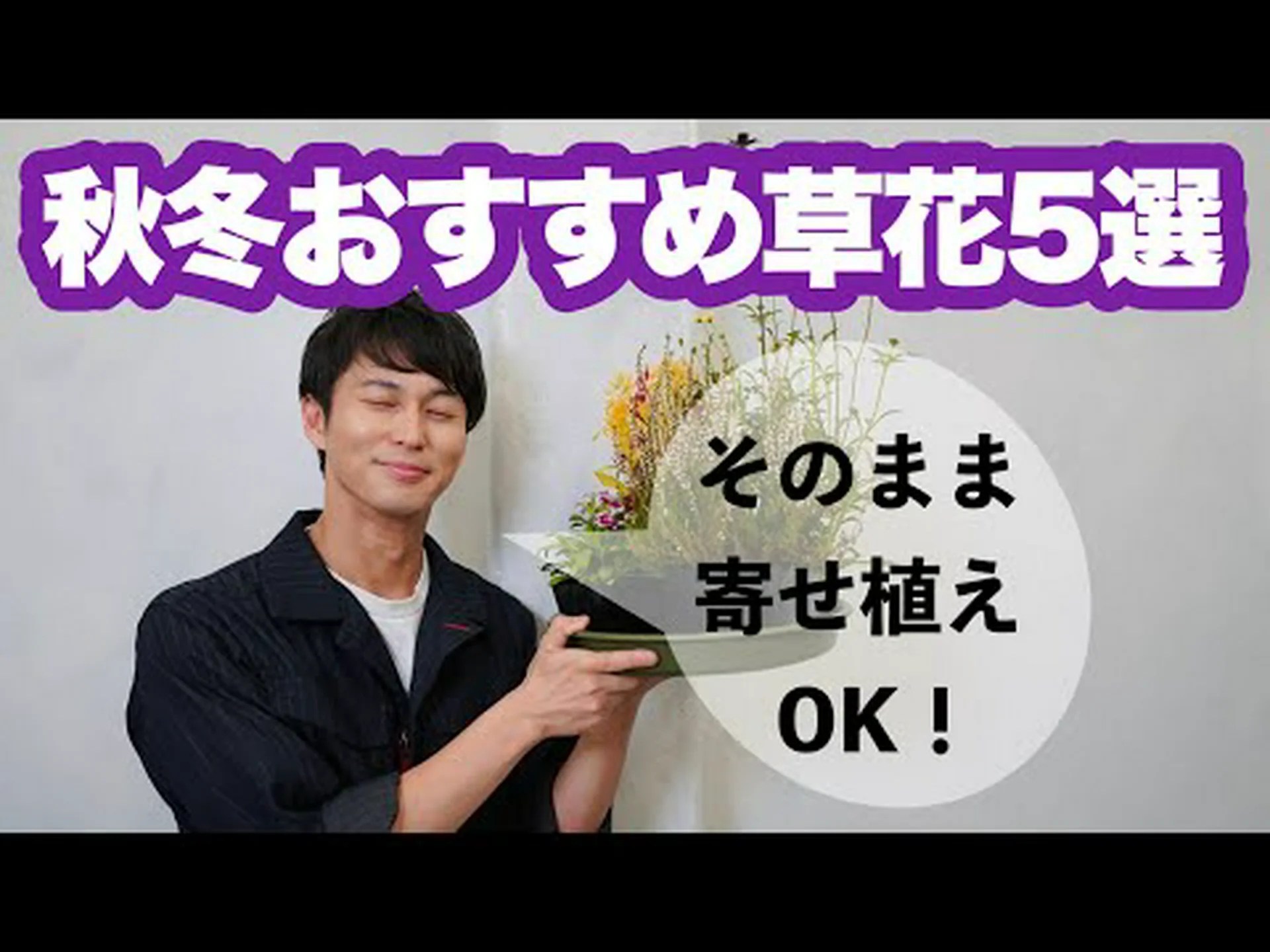 色鮮やかな秋を彩る3本の木 色鮮やかな秋を彩る3本の木