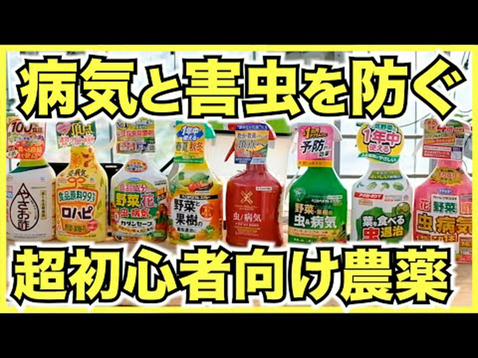 病気と害虫 病気と害虫