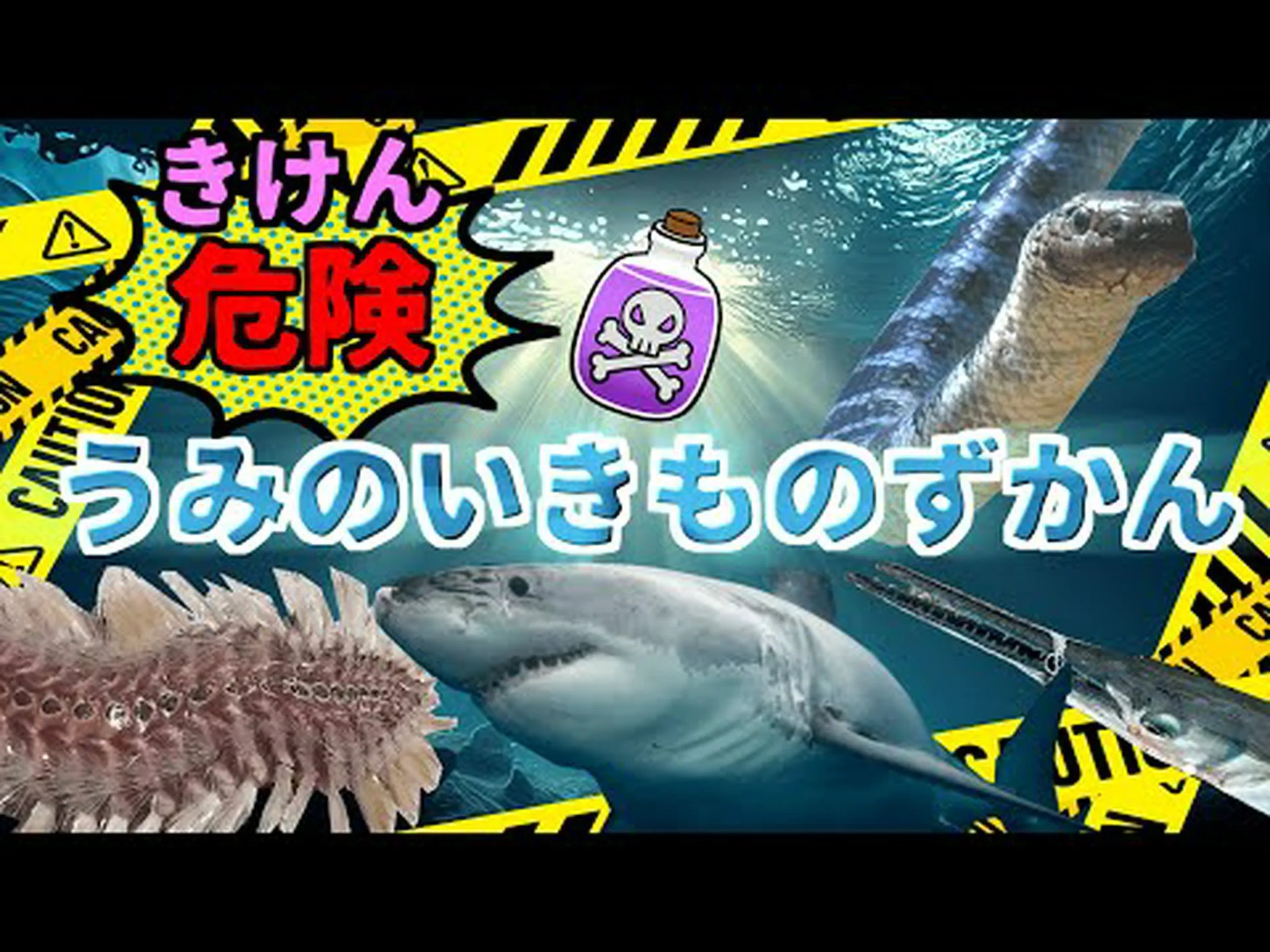 マーシュユリ、マングローブユリ、オオウミユリ マーシュユリ、マングローブユリ、オオウミユリ