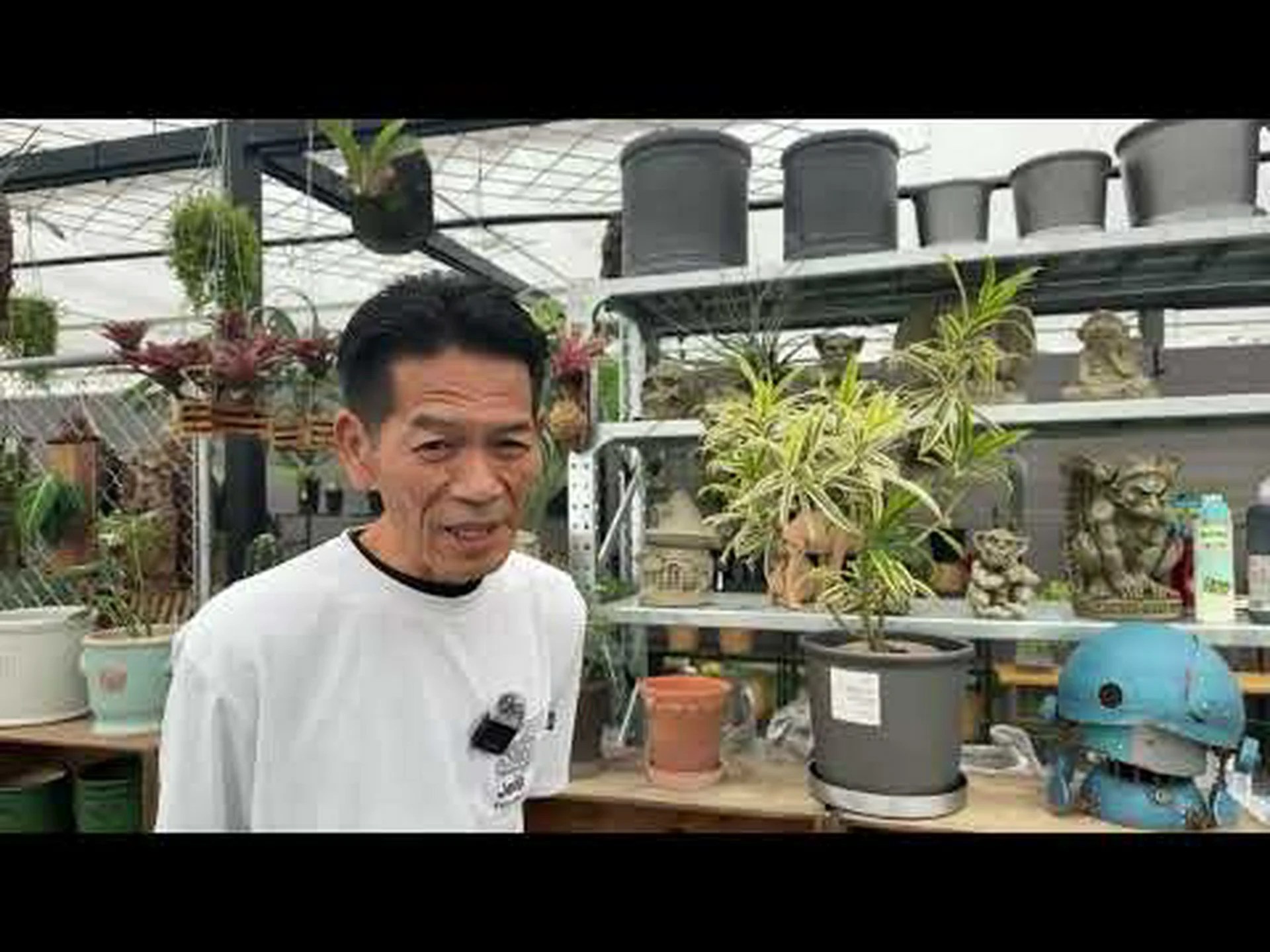 秘密の花園 (74) 秘密の花園 (74)