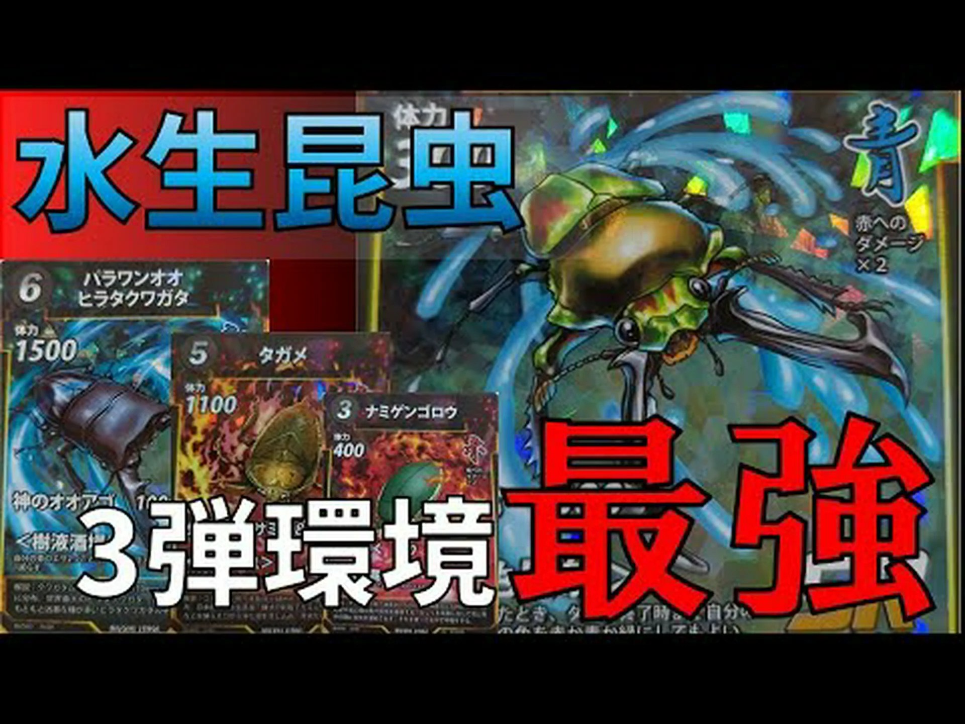 水生昆虫 水生昆虫