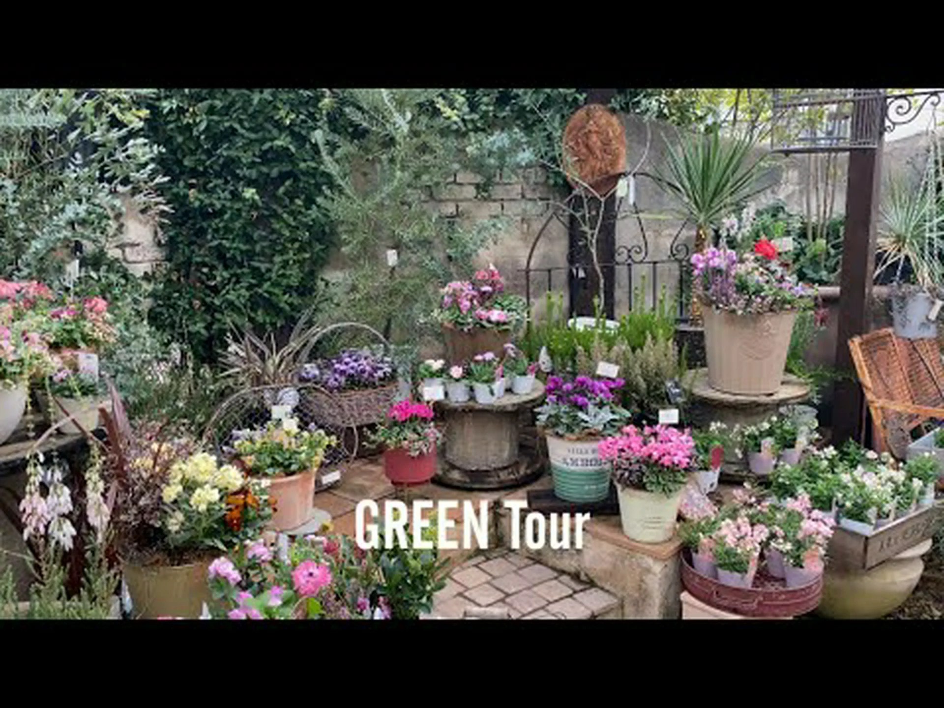 異国情緒から庭園まで 異国情緒から庭園まで