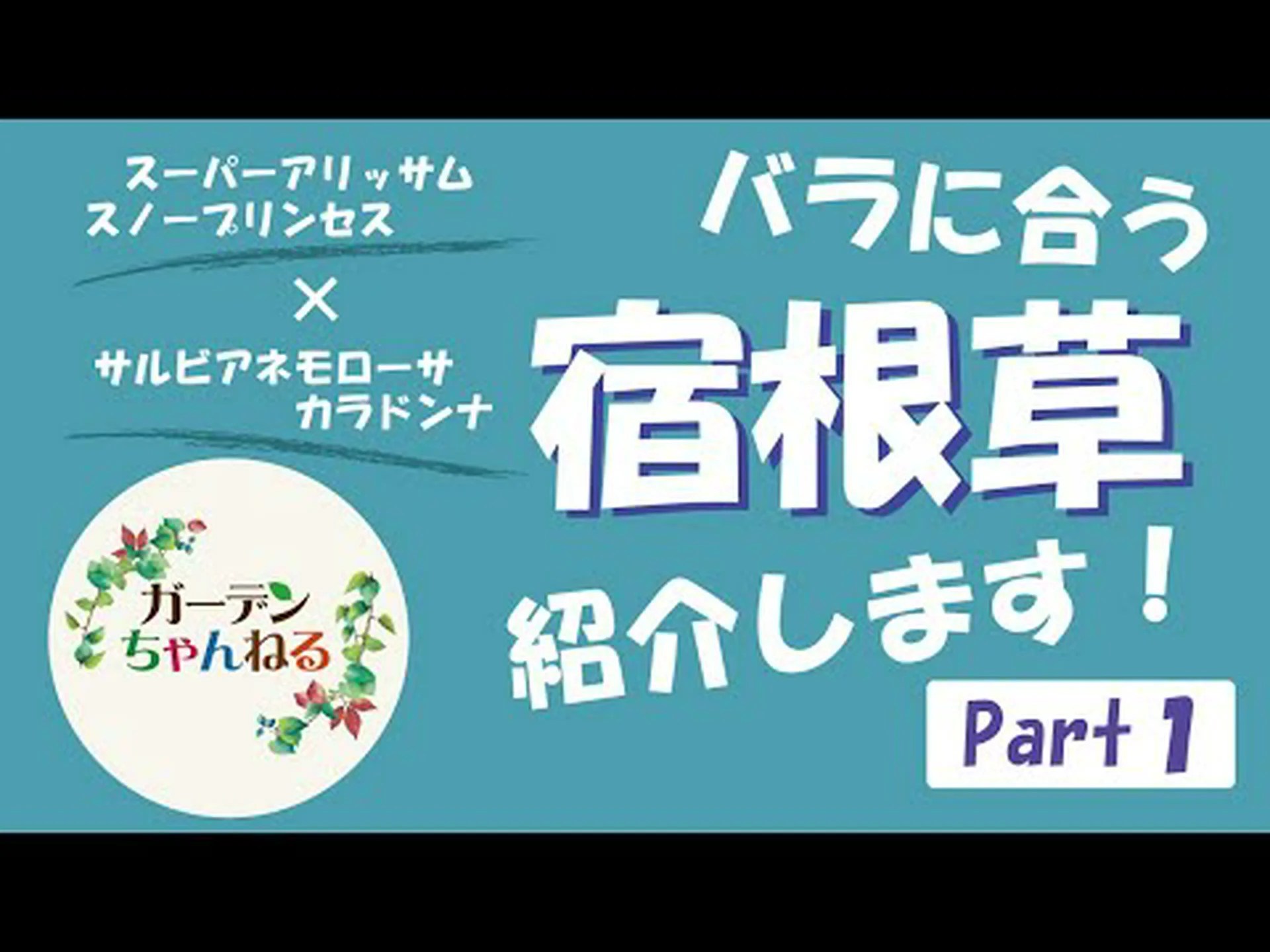 バラの茂みと多年生植物を組み合わせるにはどうすればよいですか? バラの茂みと多年生植物を組み合わせるにはどうすればよいですか?