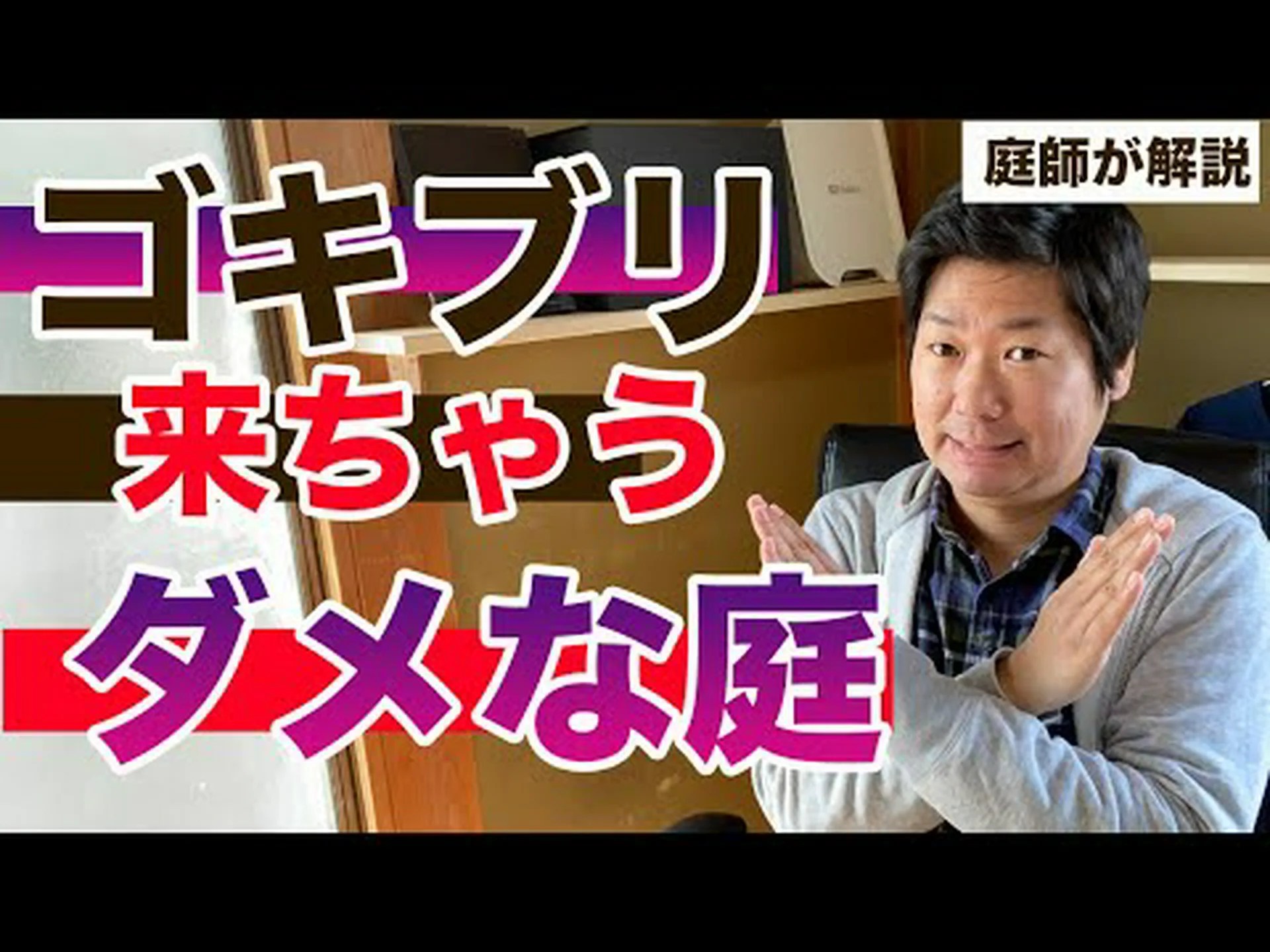 庭のゴキブリ 庭のゴキブリ