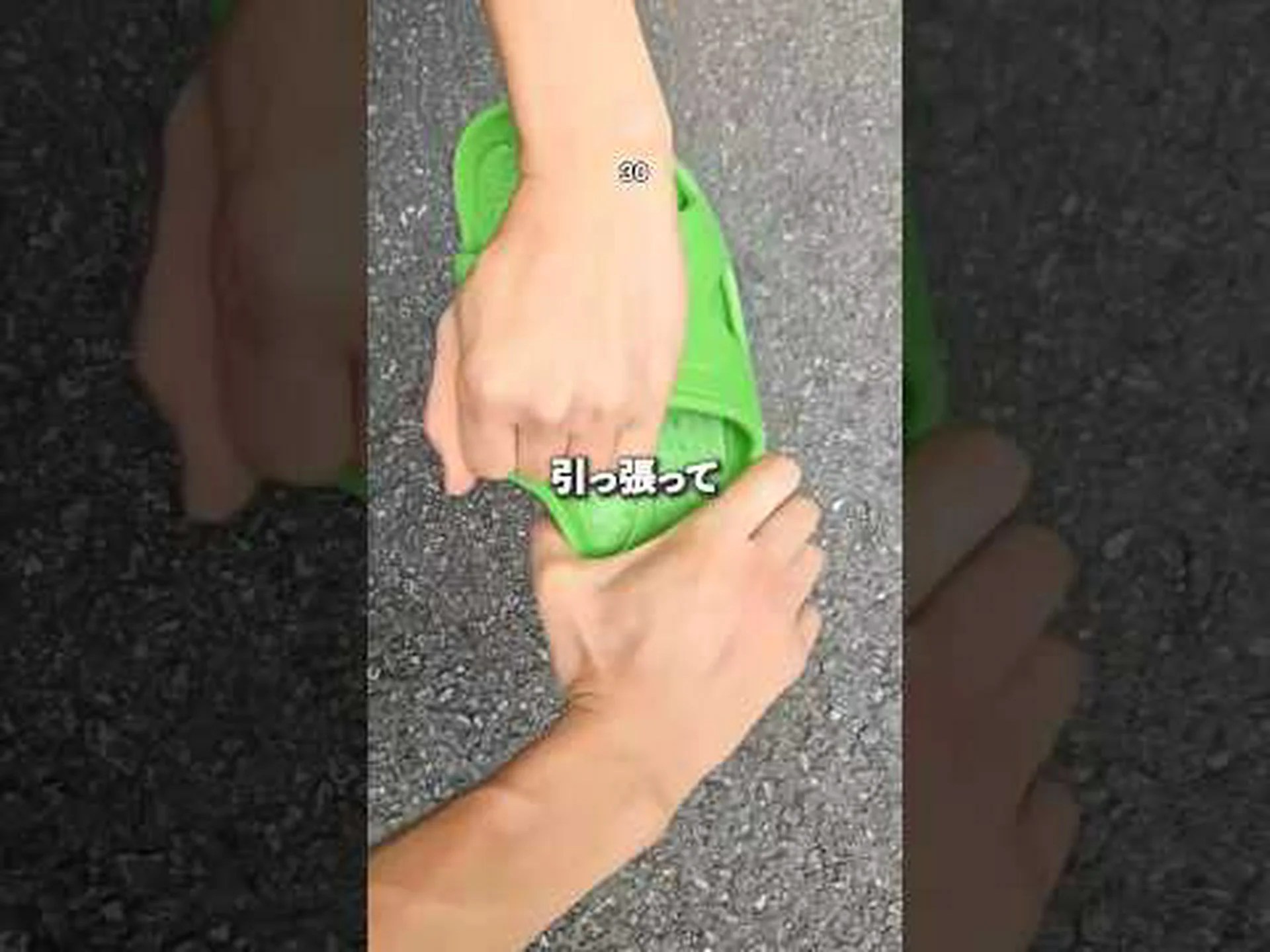 Calceolar calynospsis、小さなスリッパ Calceolar calynospsis、小さなスリッパ