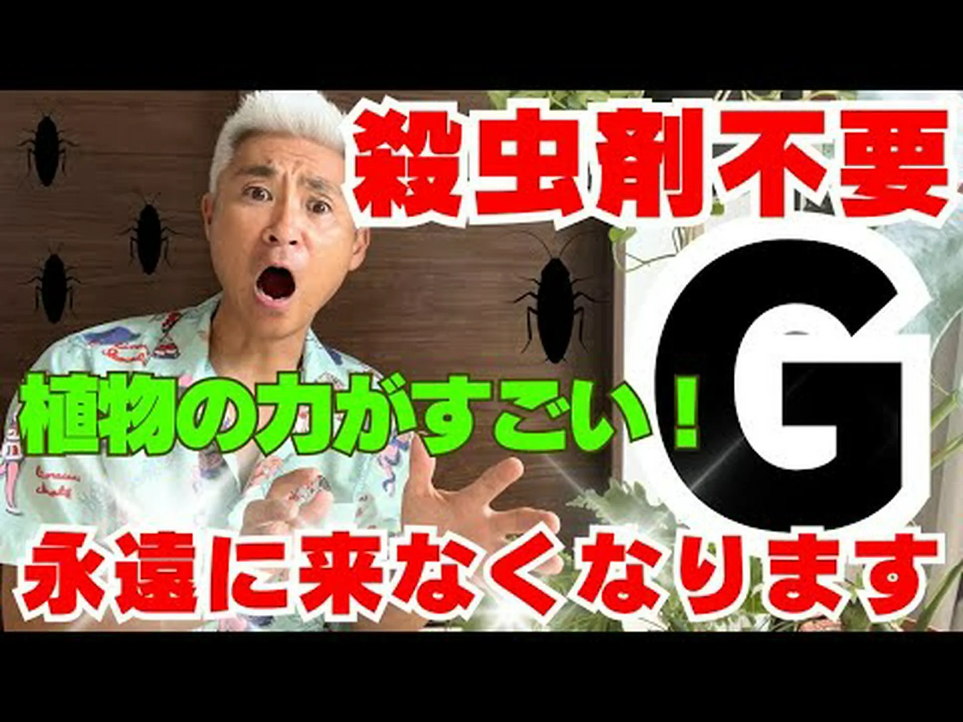 植物とスパイス 植物とスパイス