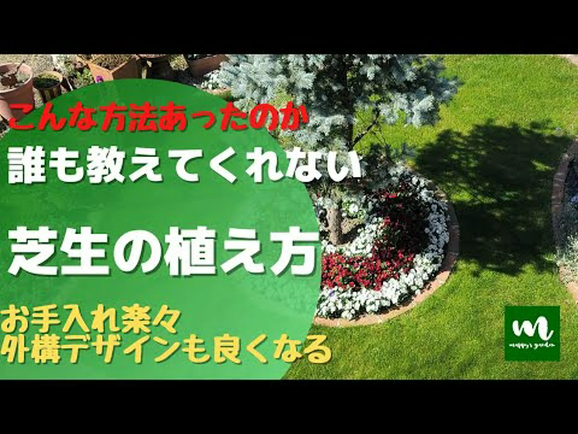 芝生を植える 芝生を植える