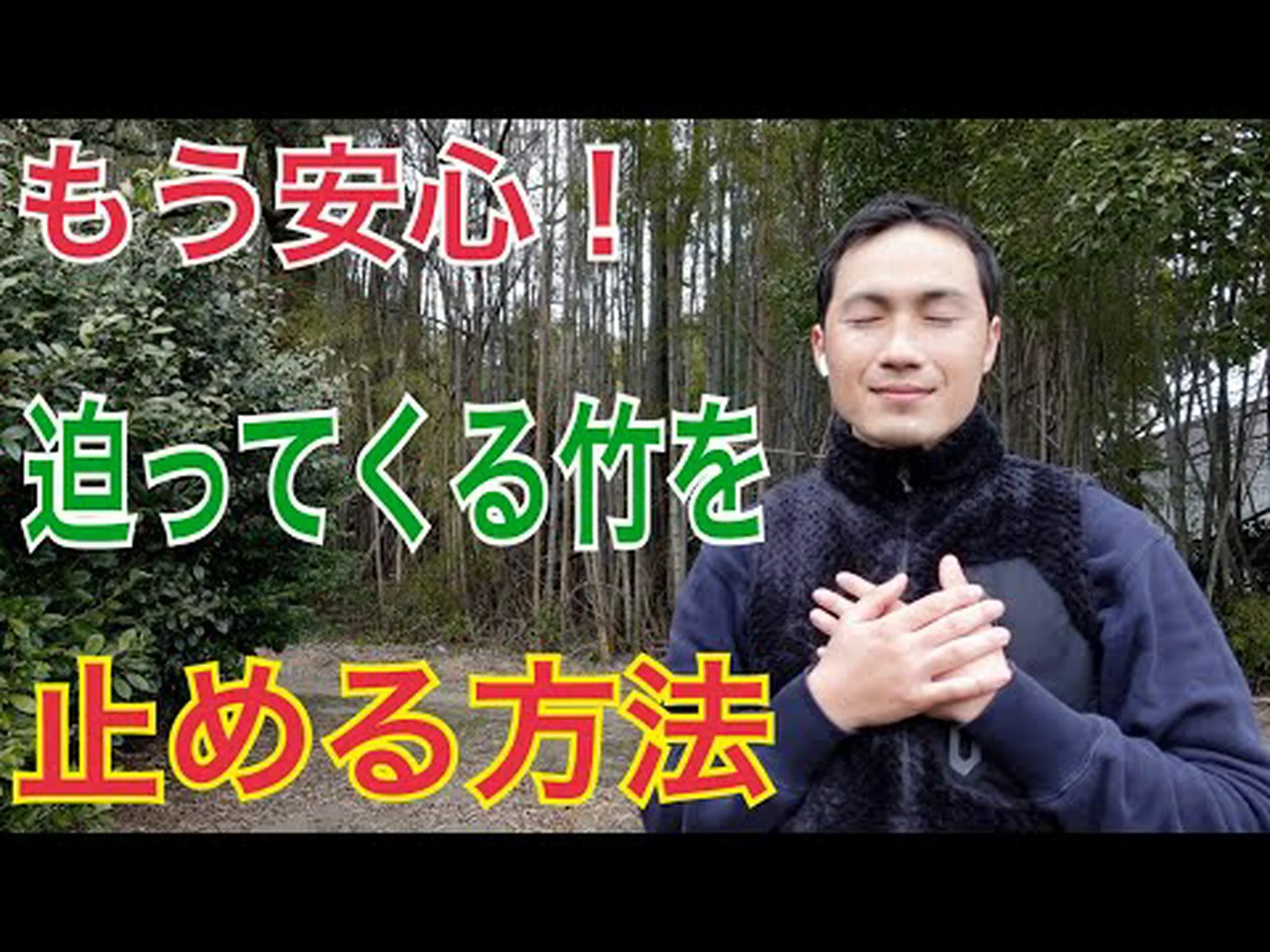 角竹 角竹
