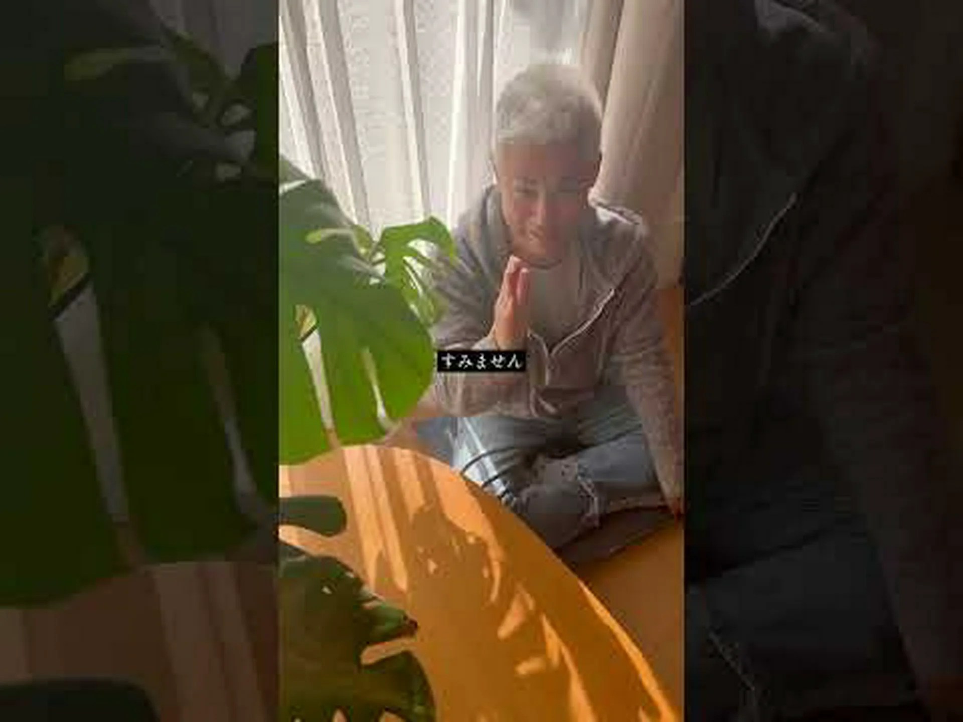 竹ヤシ、チャイニーズヤシ 竹ヤシ、チャイニーズヤシ