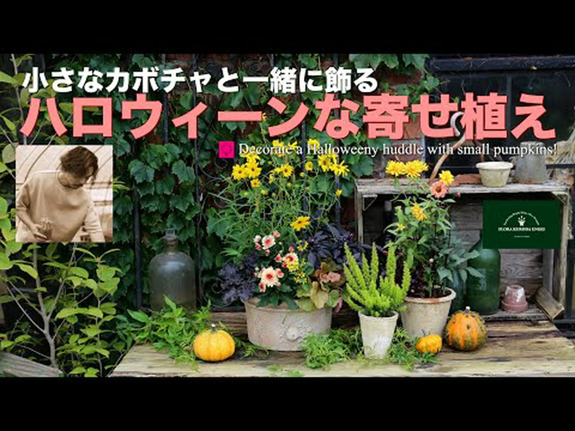 ハロウィンに向けてカボチャを準備しましょう ハロウィンに向けてカボチャを準備しましょう