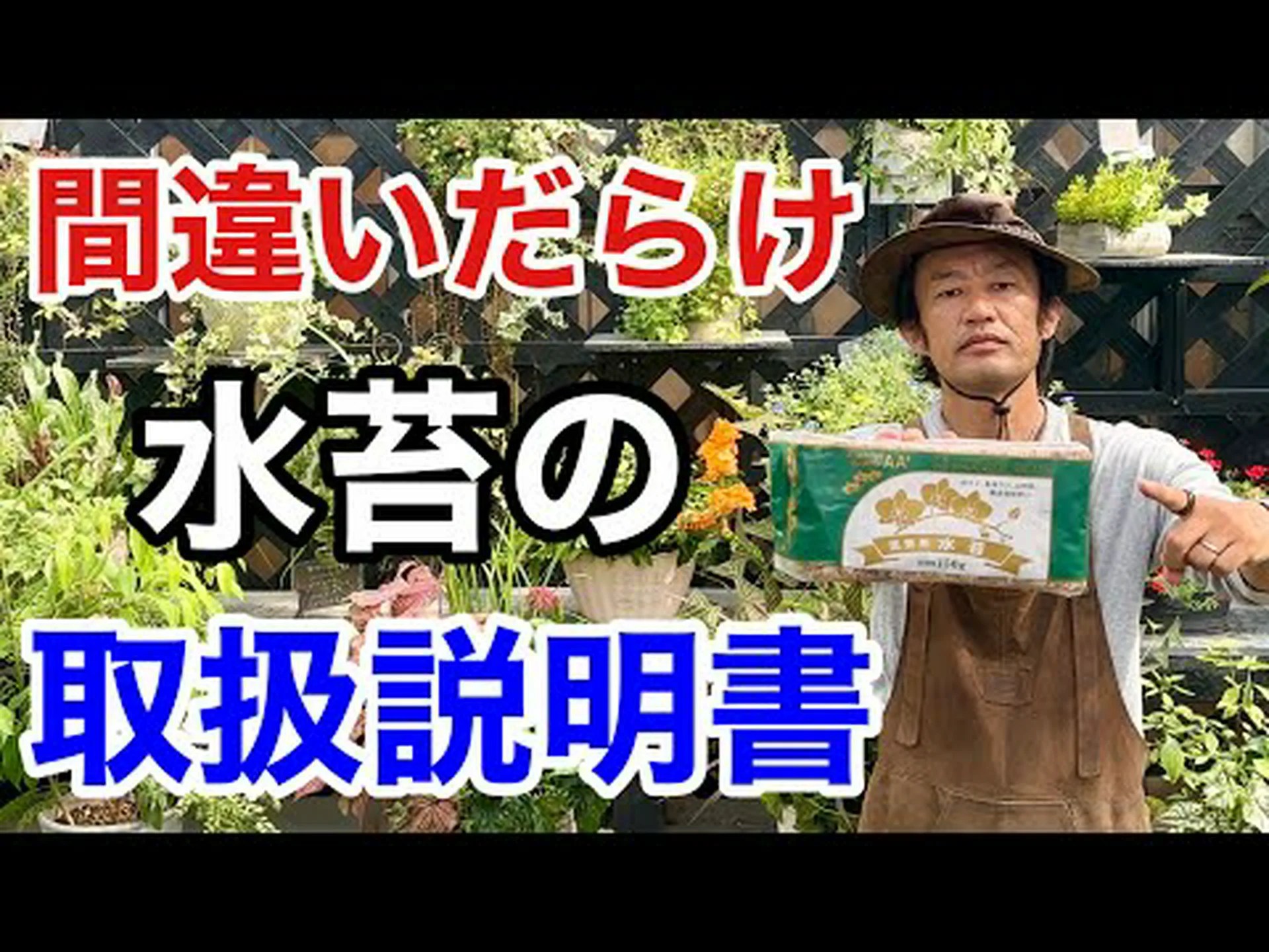 ミズゴケ ミズゴケ