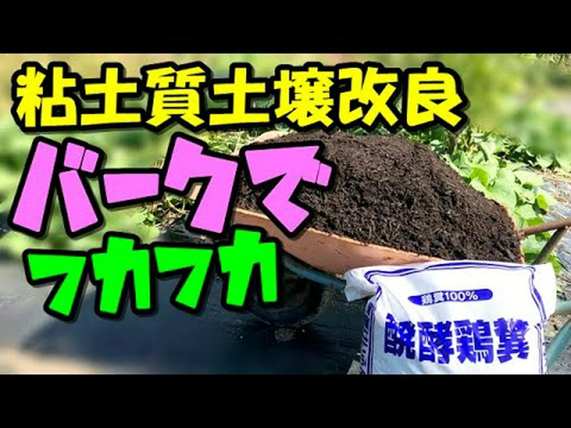 粘土質の土壌でガーデニング 粘土質の土壌でガーデニング