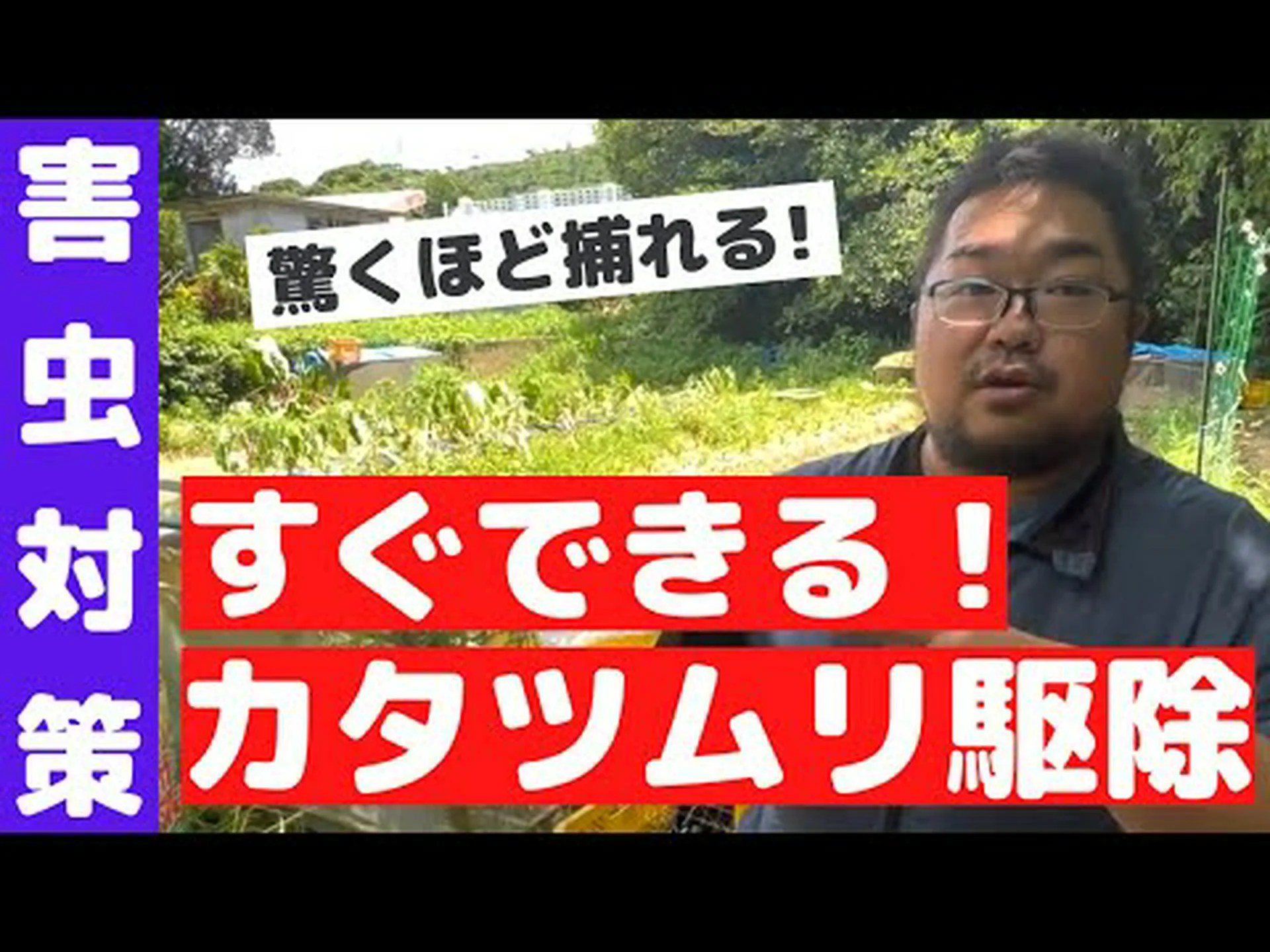 カタツムリ カタツムリ