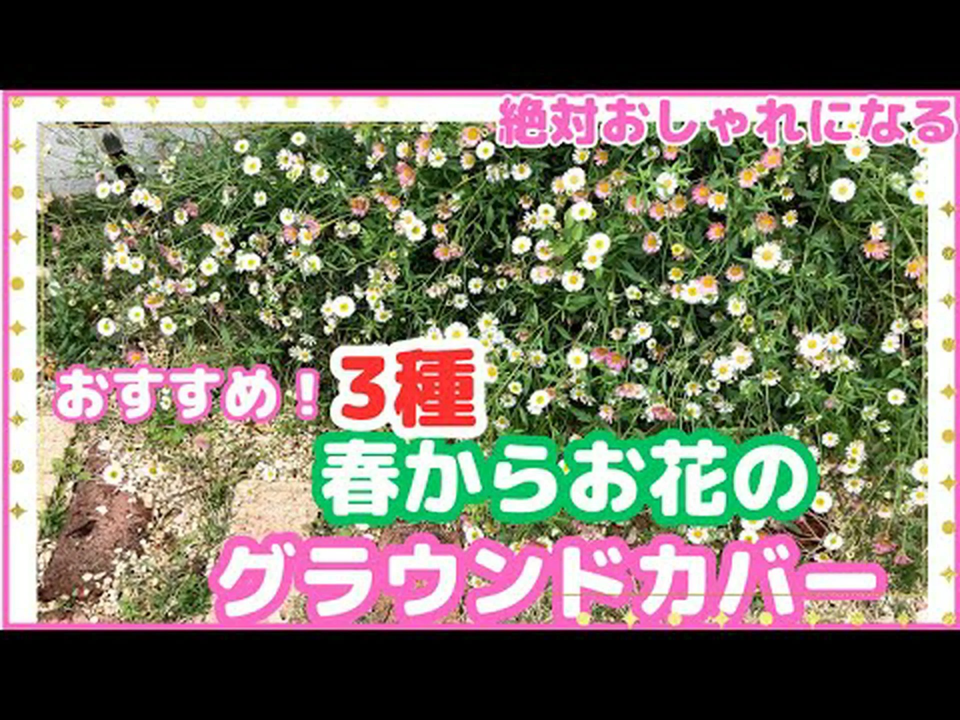 花でカバーする 花でカバーする