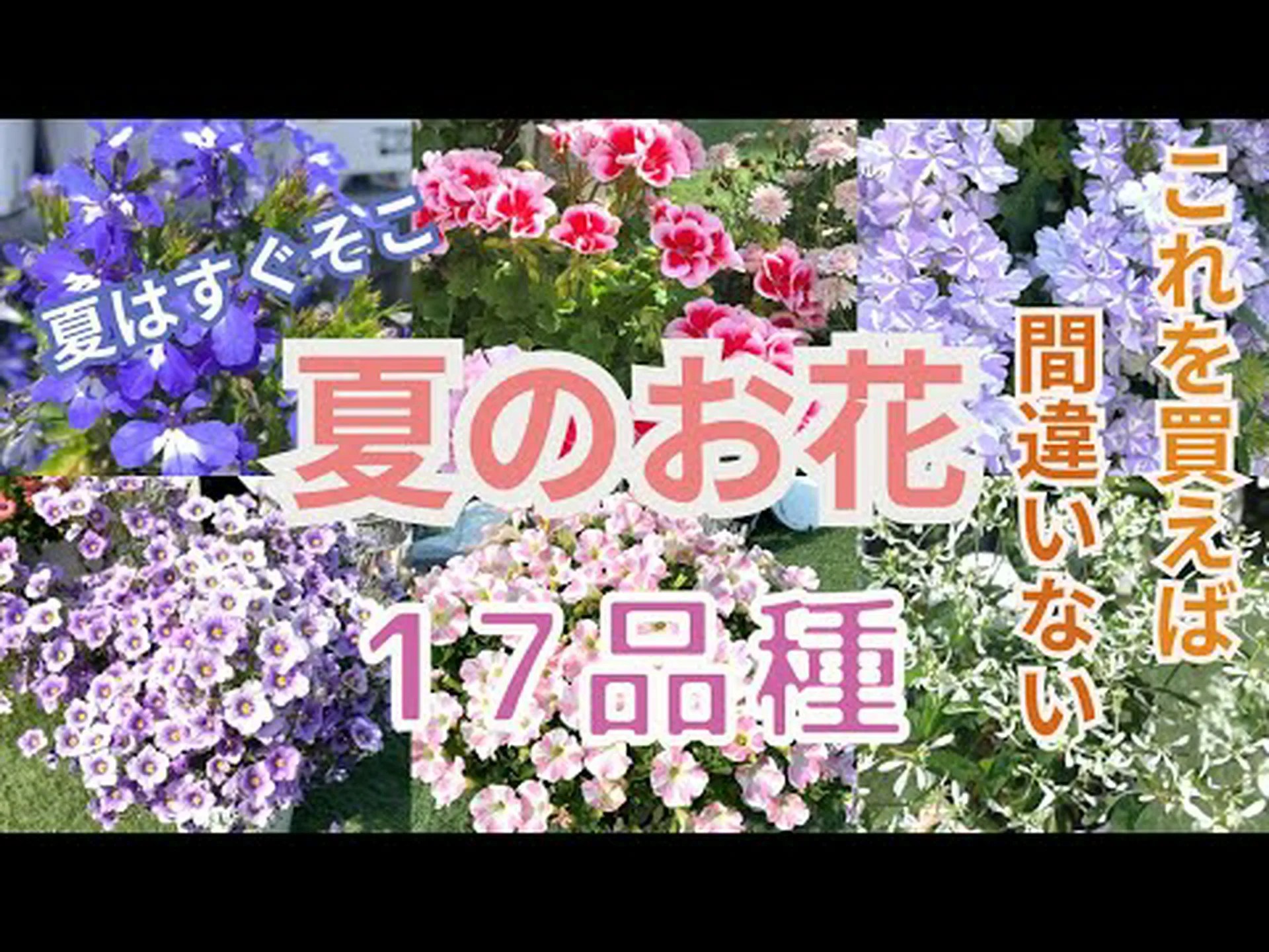 夏の花の花束 夏の花の花束