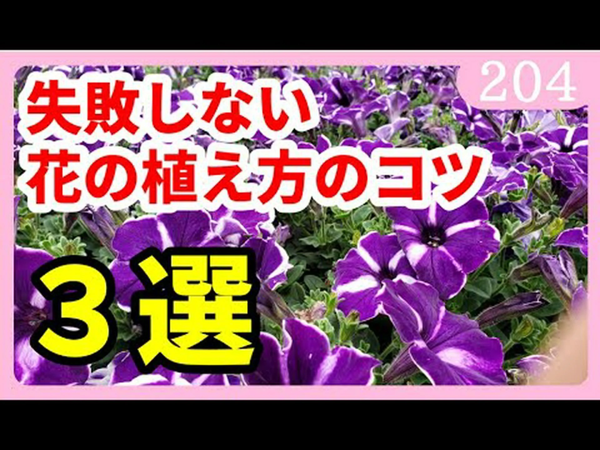 菜園に花を植える 菜園に花を植える