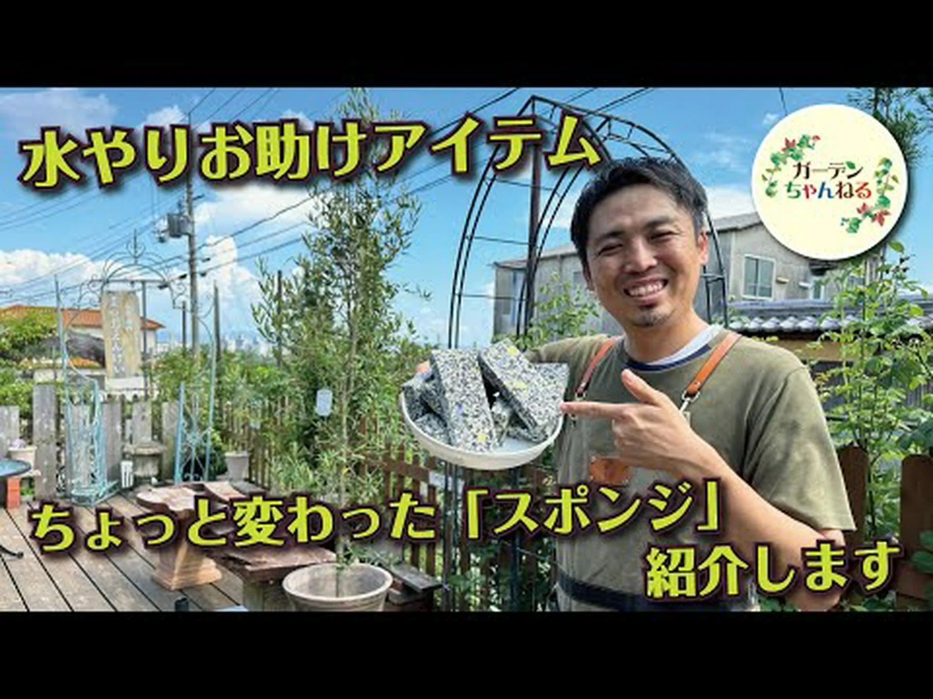 アクアテール、プールを接地 アクアテール、プールを接地