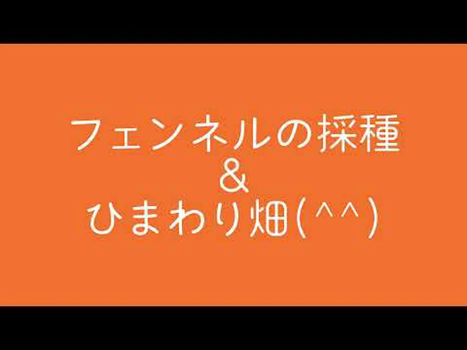 フェンネル フェンネル